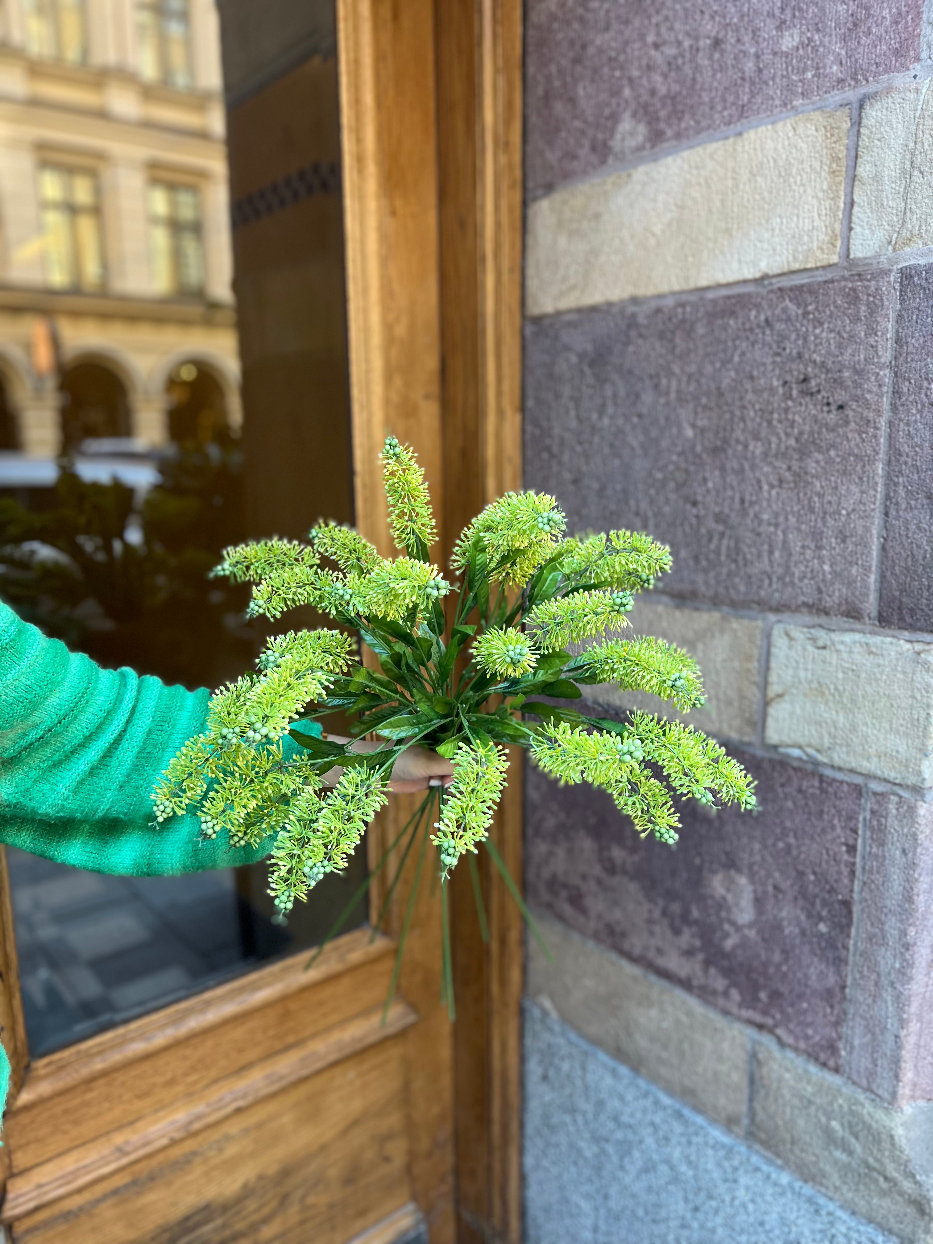 Astilbe 60 cm, grön