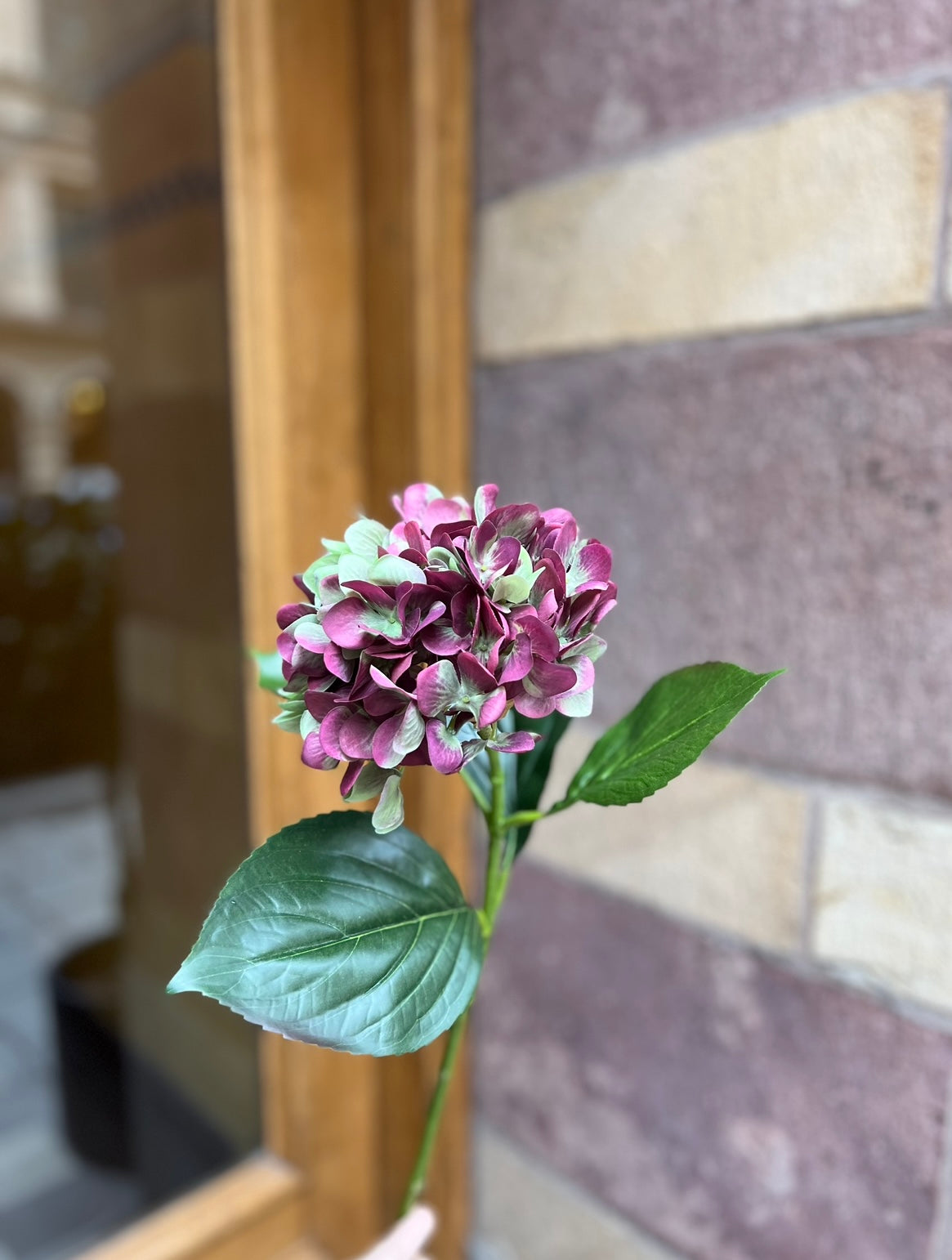 Hortensia 65 cm, Röd