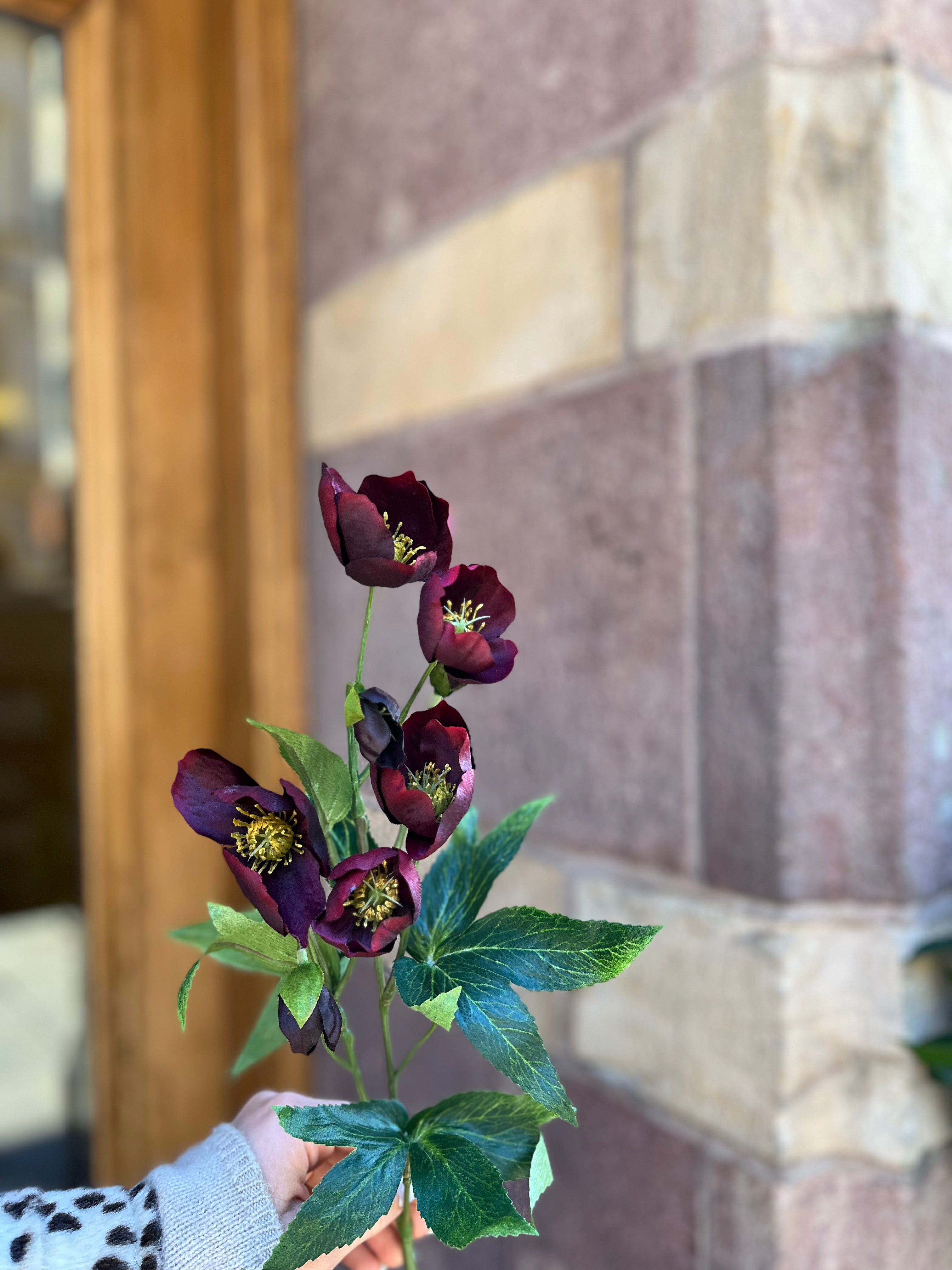 Julros burgundy, 57 cm