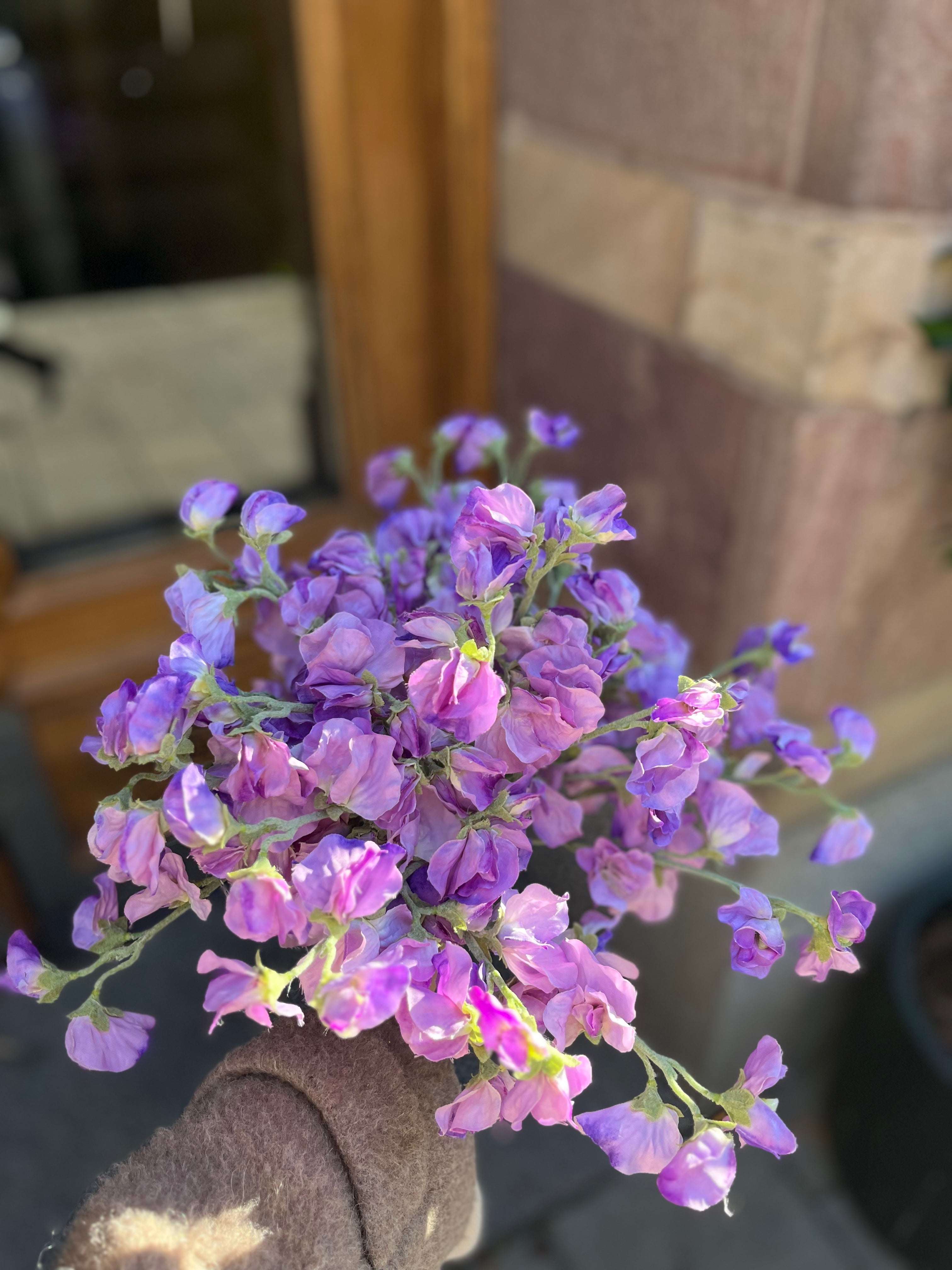 Luktärt lila, 40 cm