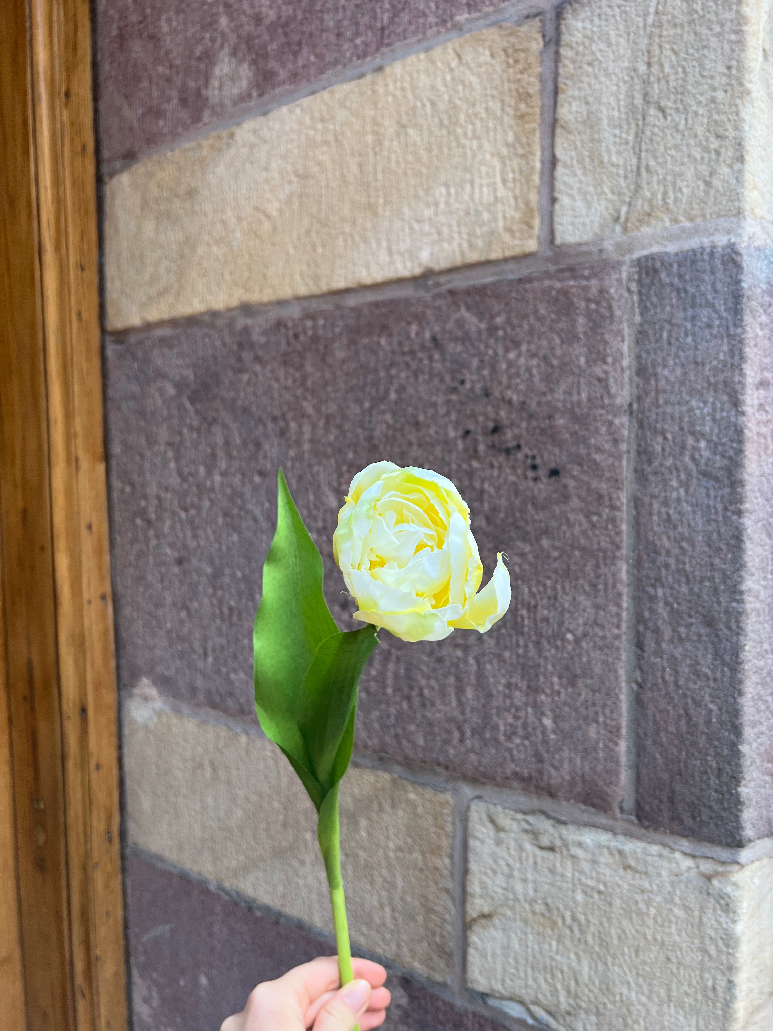 Piontulpan 40 cm, Gul