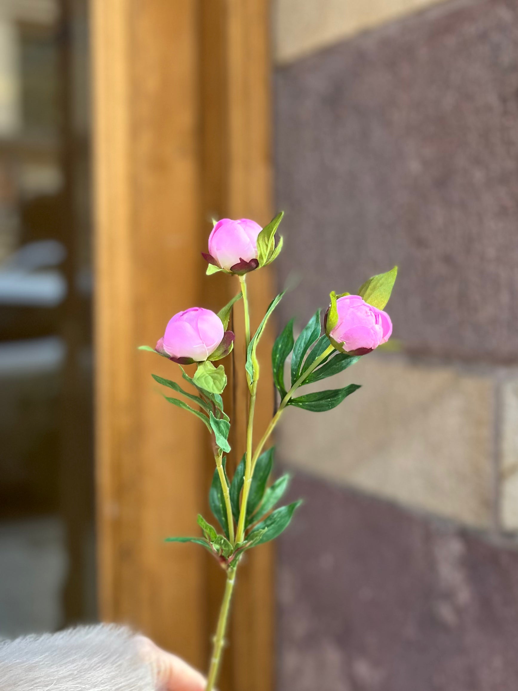 Pionknopp 40 cm, Rosa