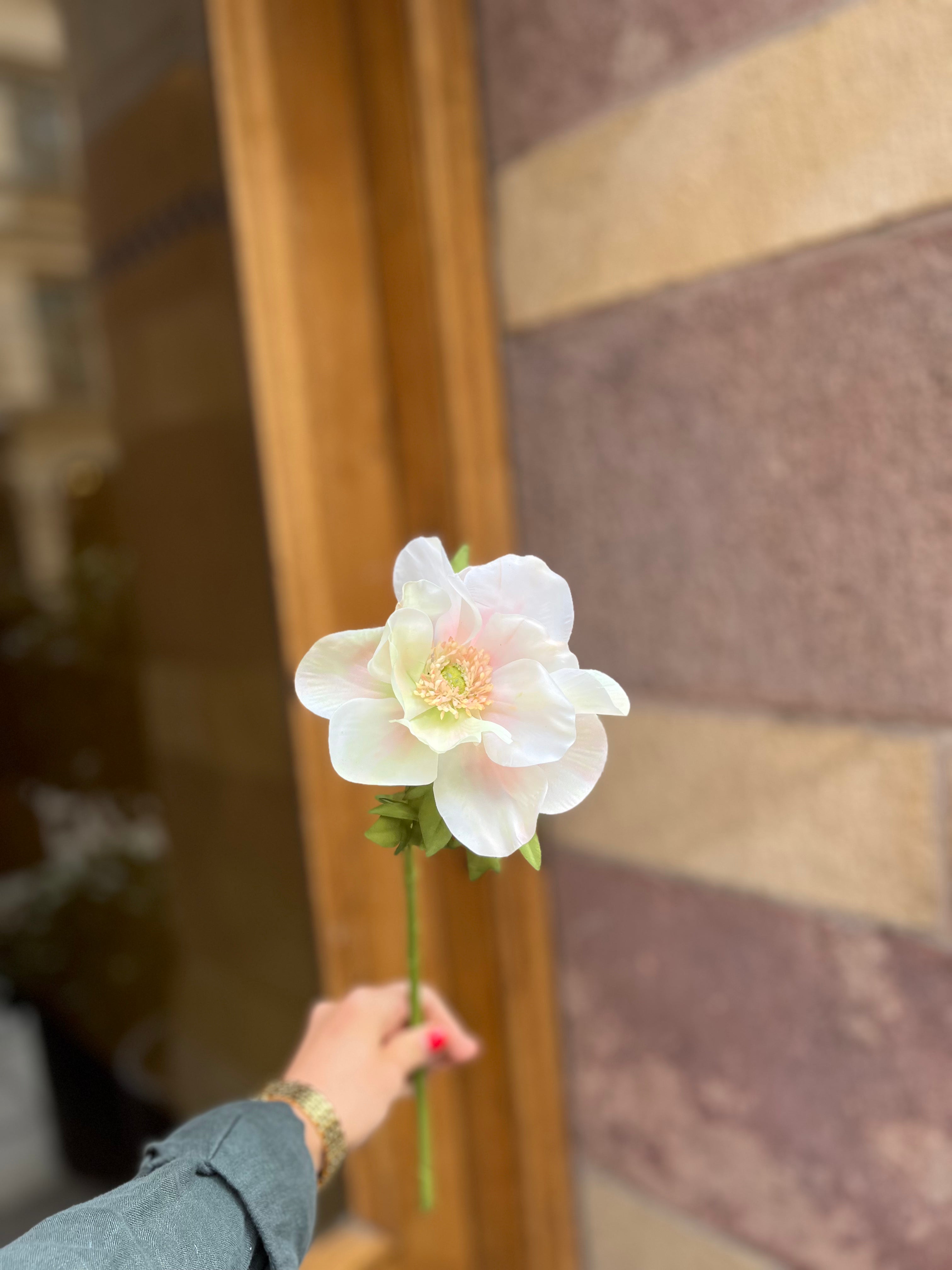 Anemon 40 cm, Champagne