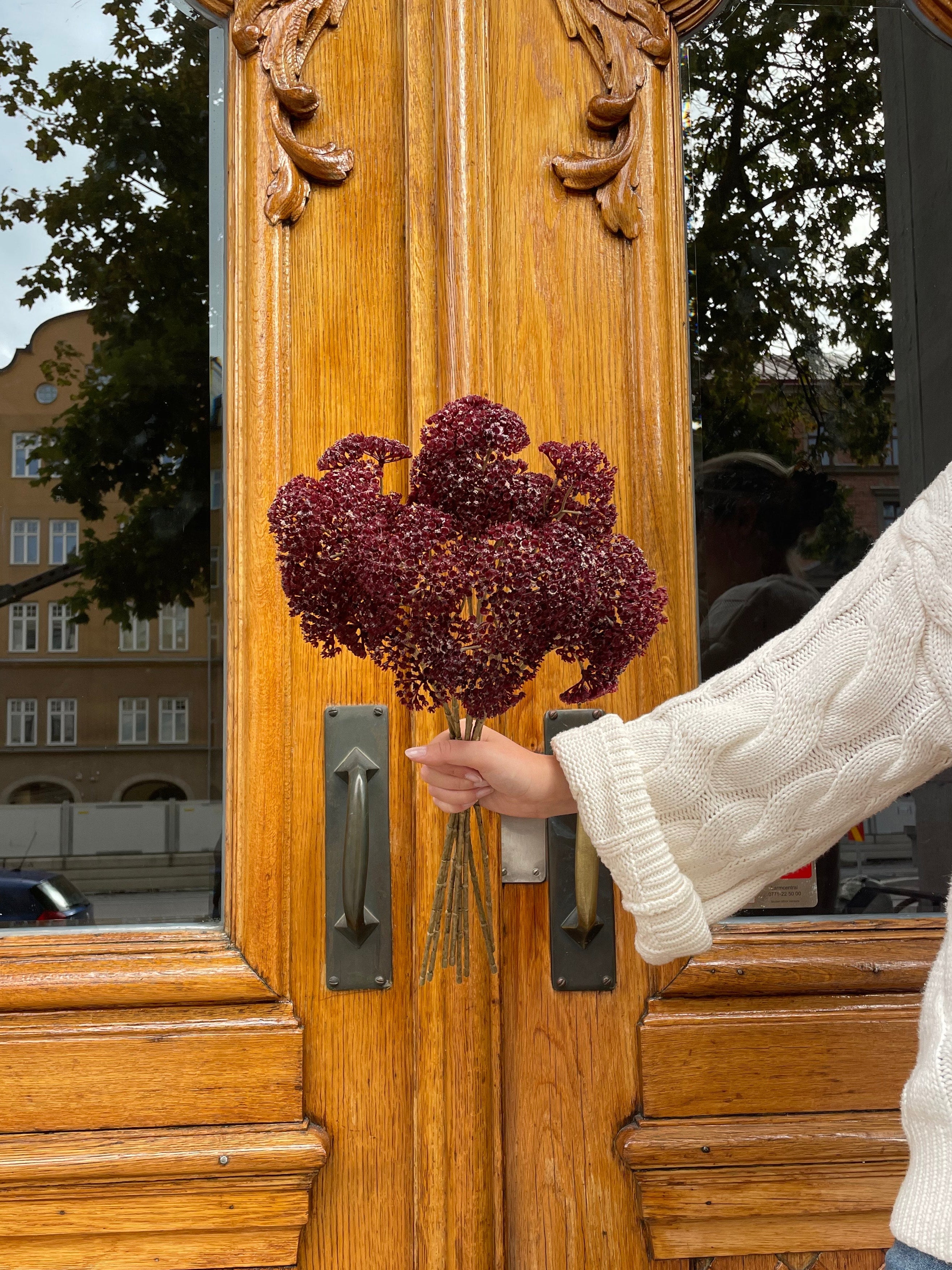 Röllika 50 cm, Mörklila