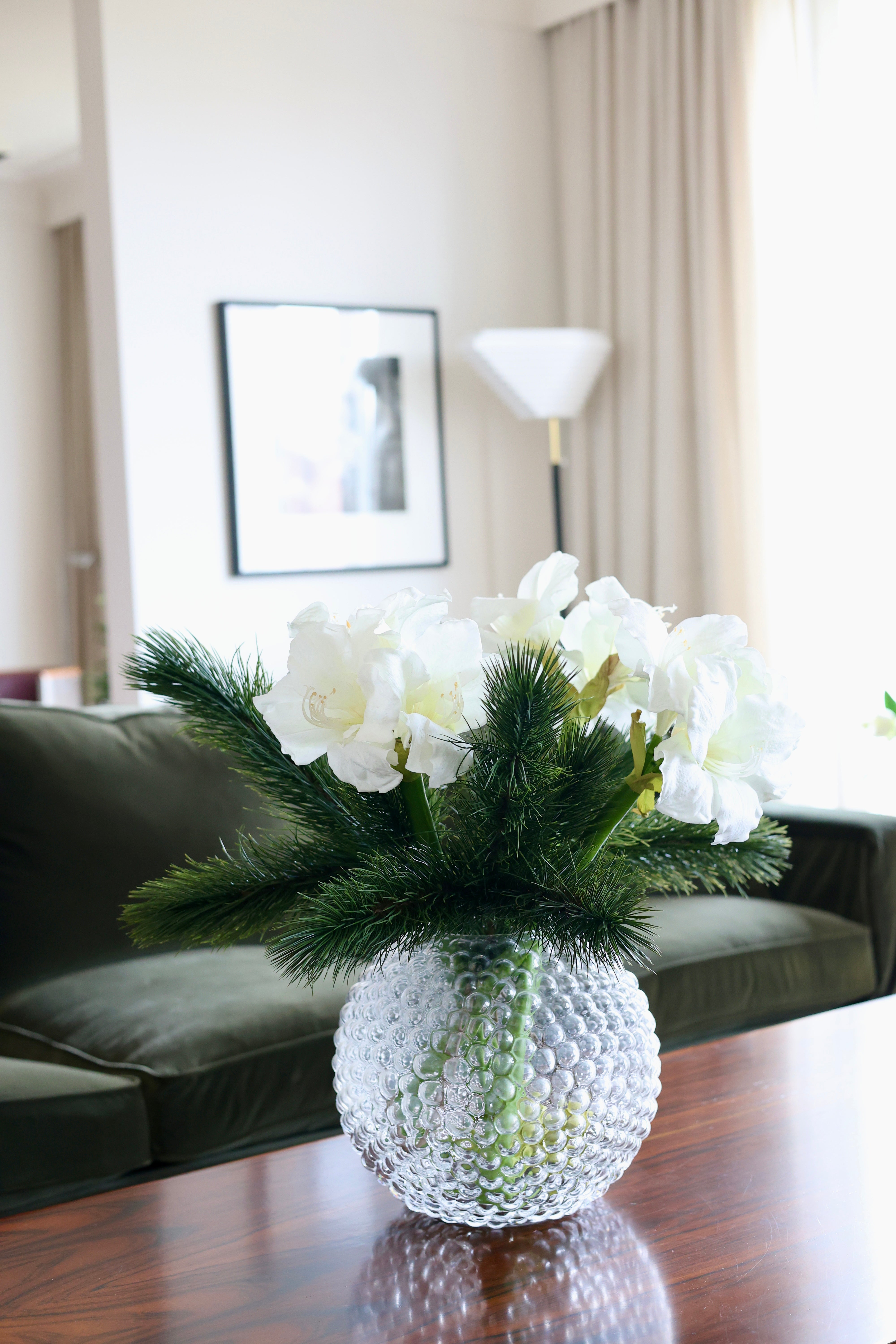 Amaryllis vit, 75 cm