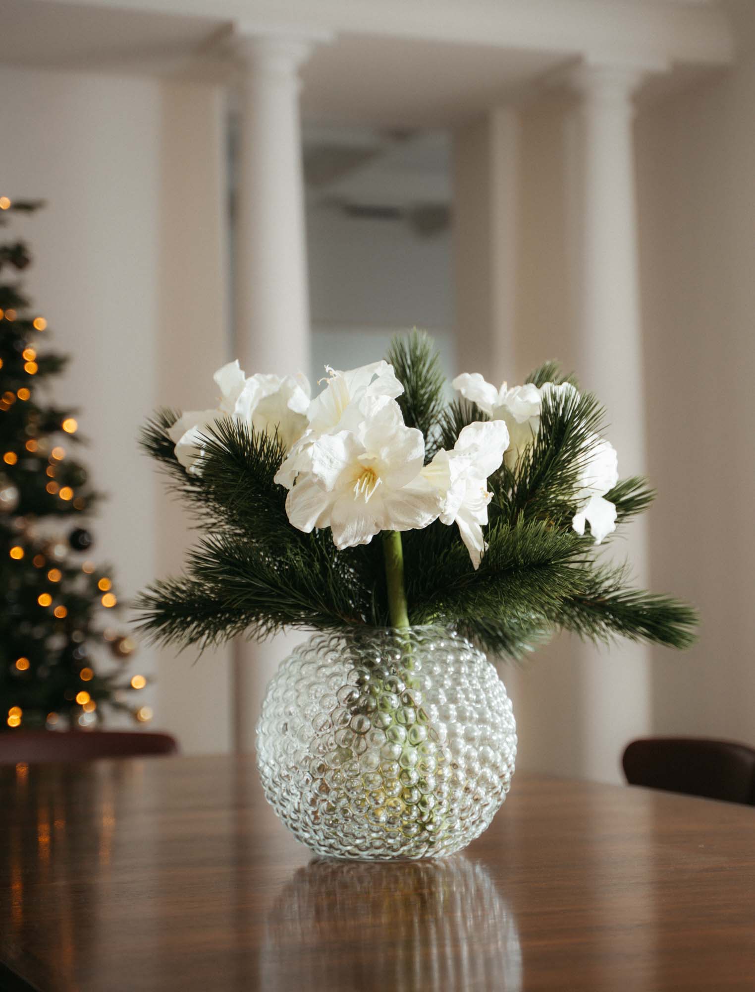 Amaryllis 75 cm, vit