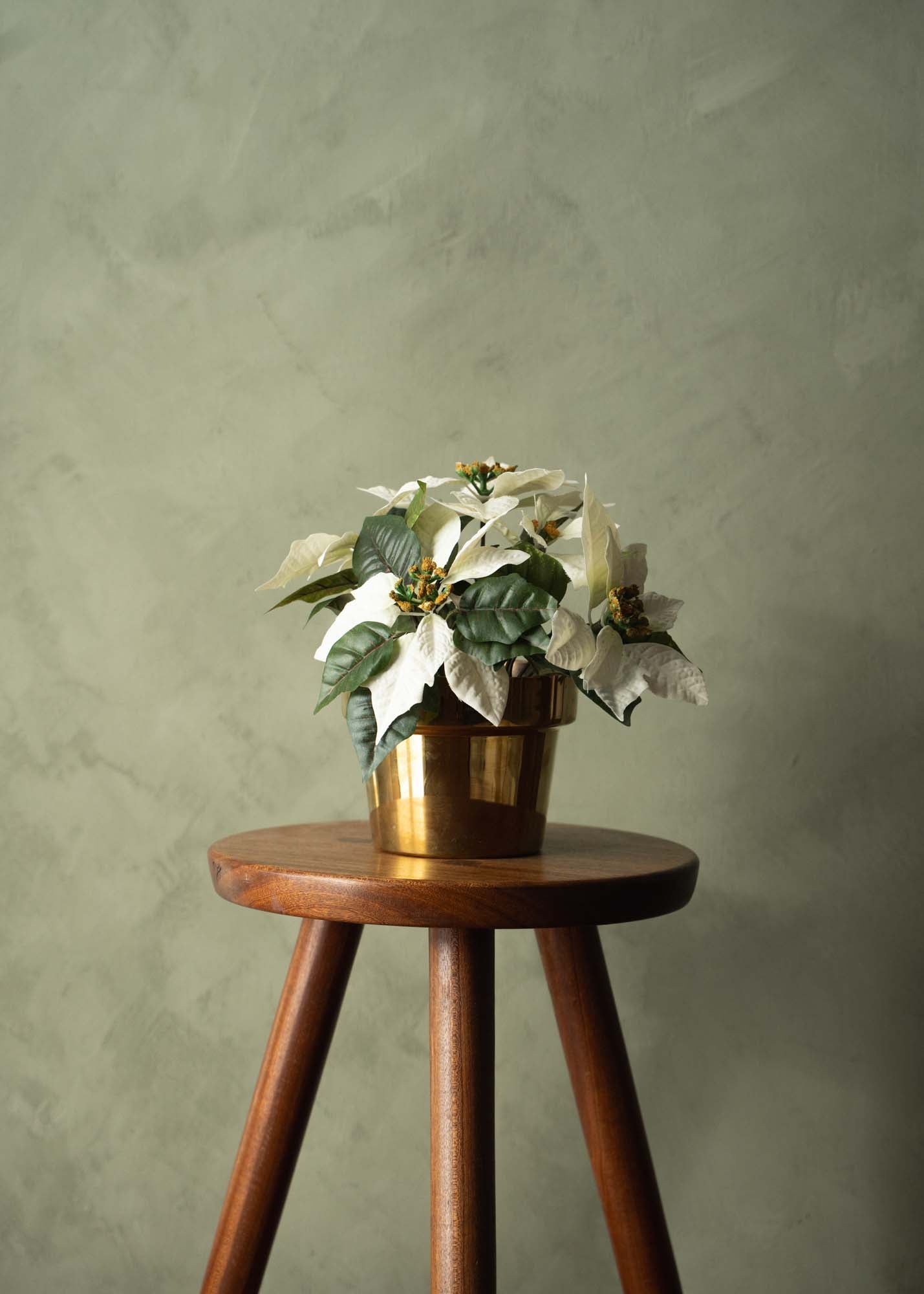 Julstjärna 26 cm, vit