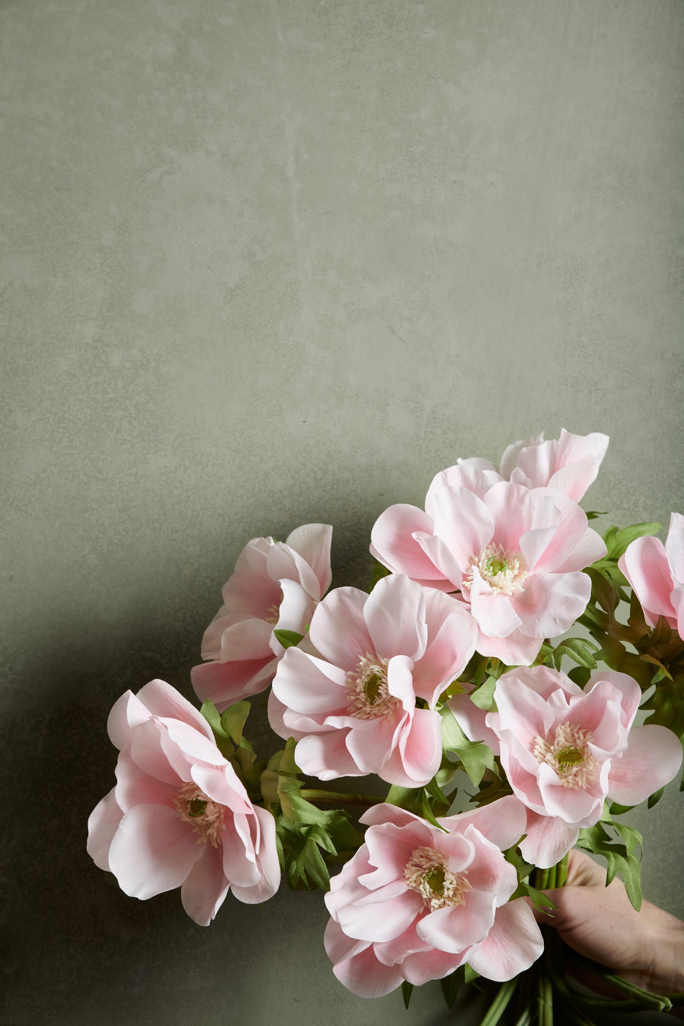 Anemon 40 cm, Ljusrosa