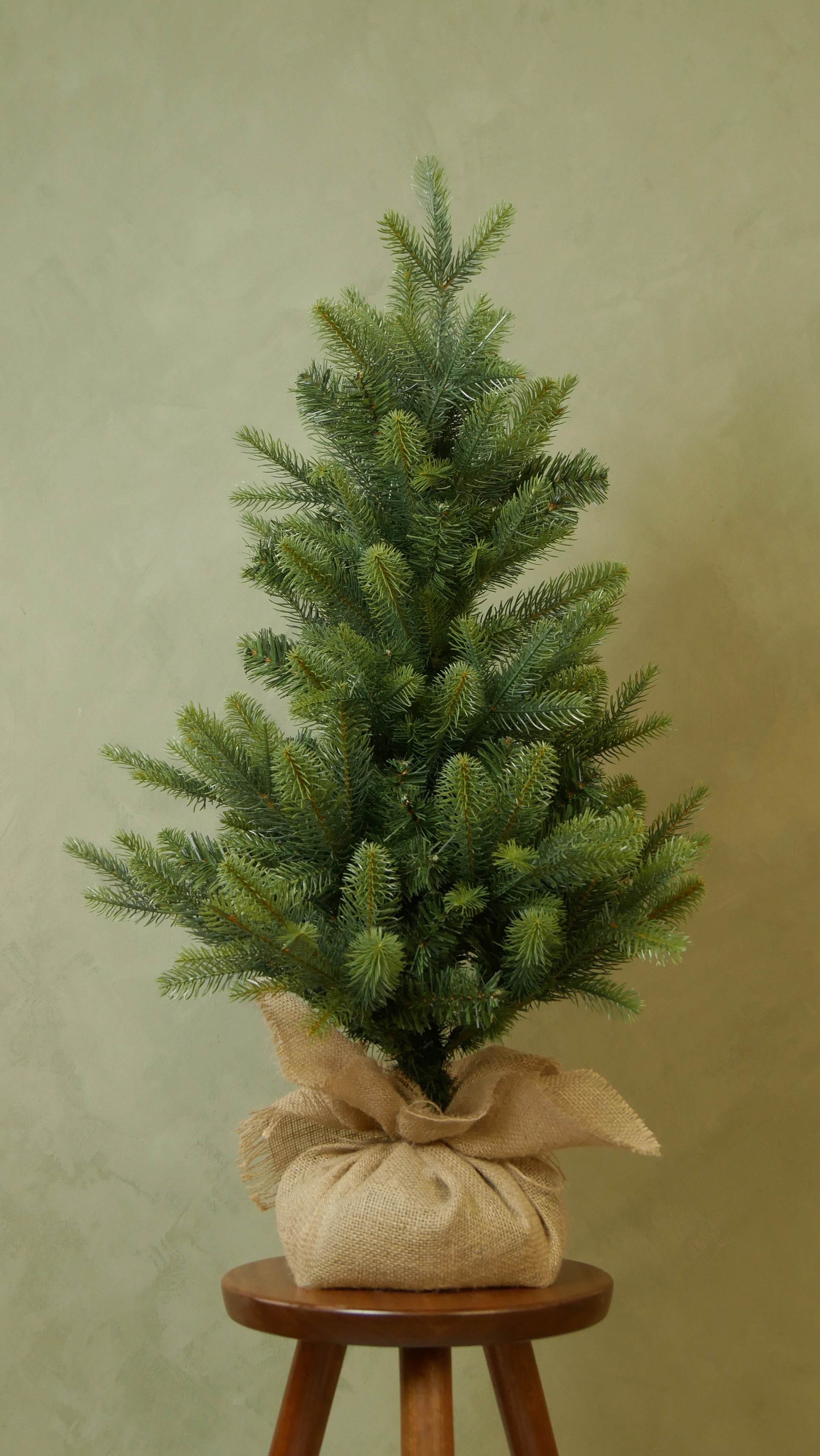 Minigran exklusiv 60-80 cm