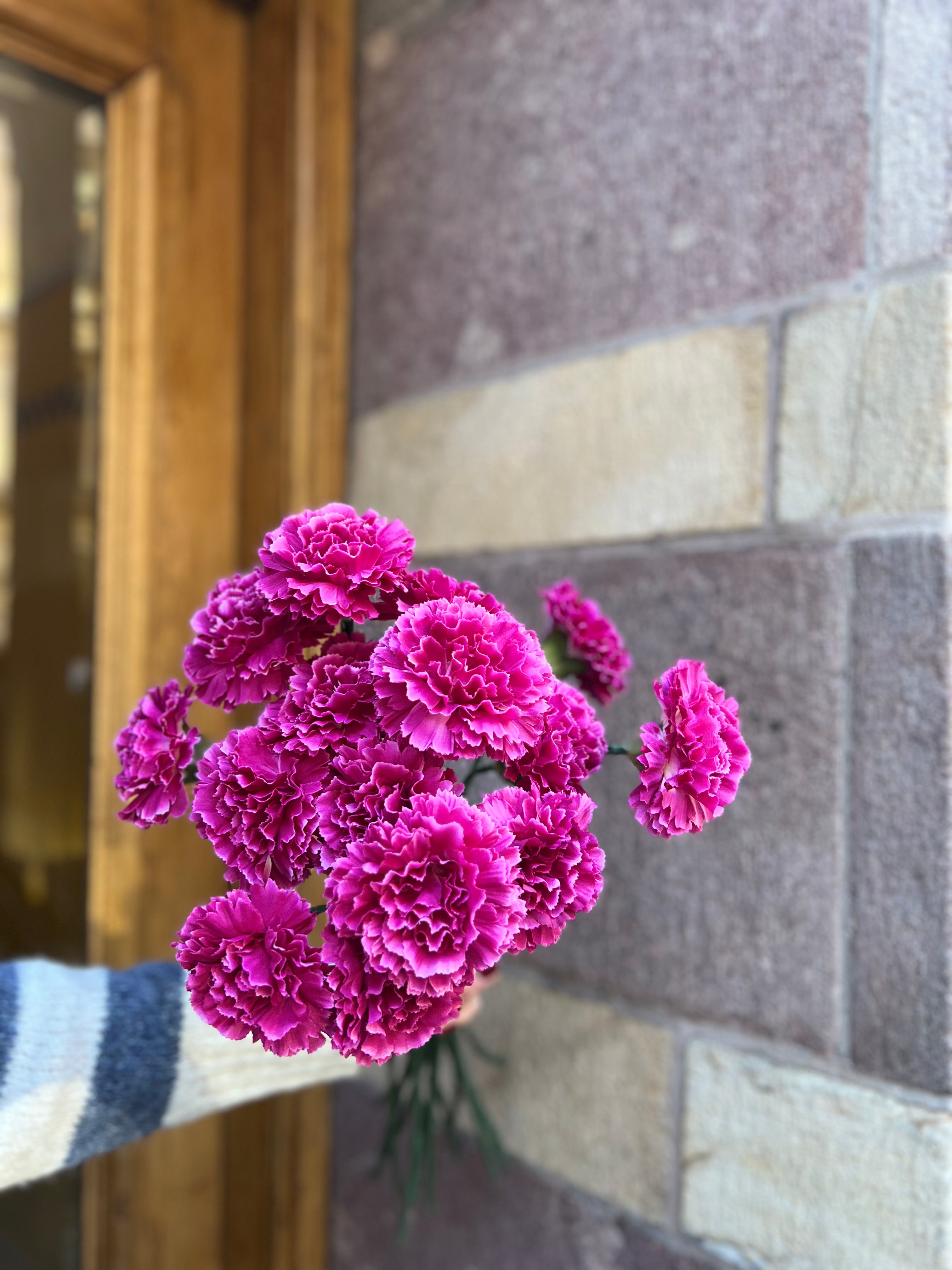 Nejlika 40 cm, Rosa