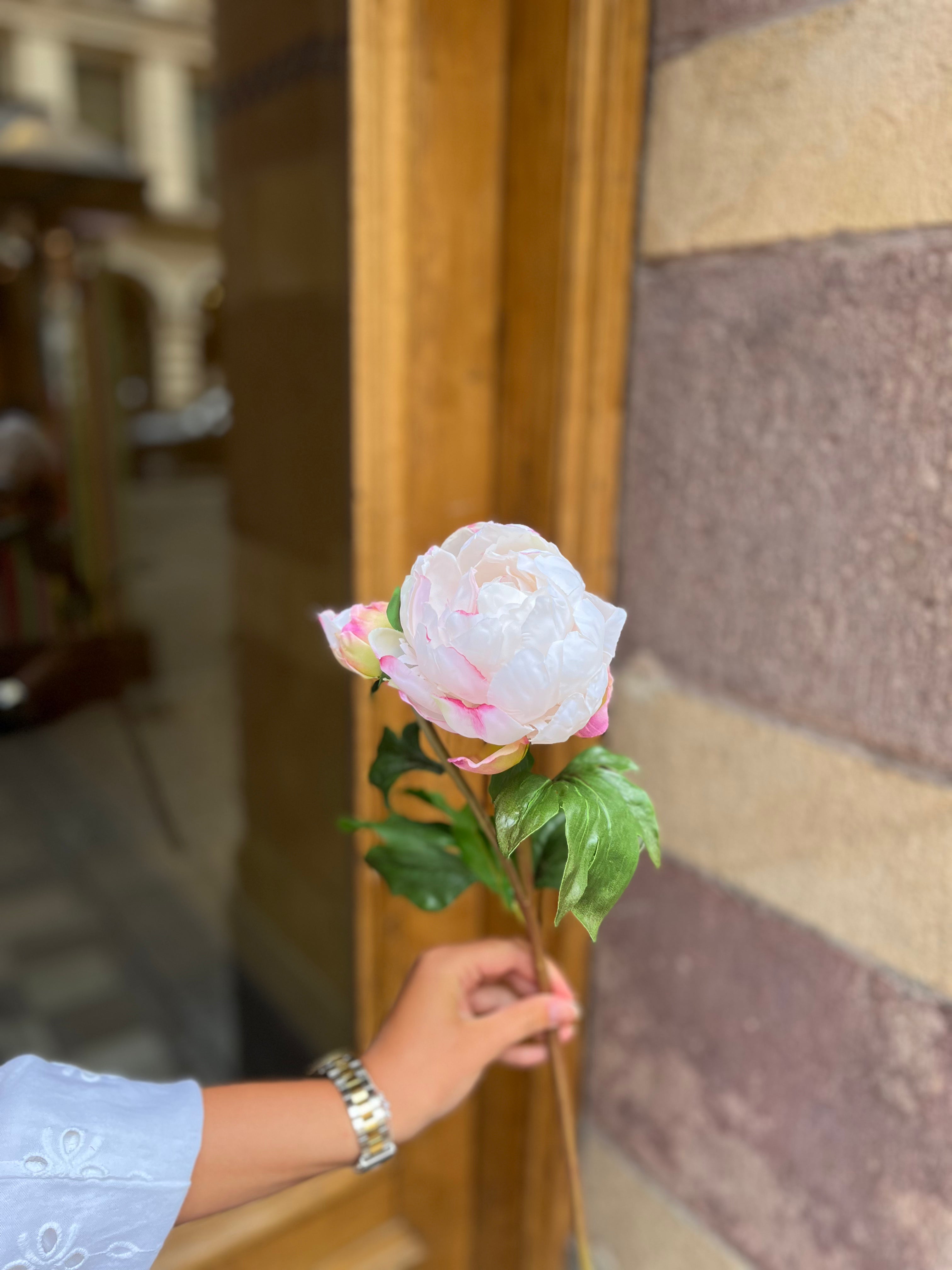 Pion 50 cm, Ljusrosa