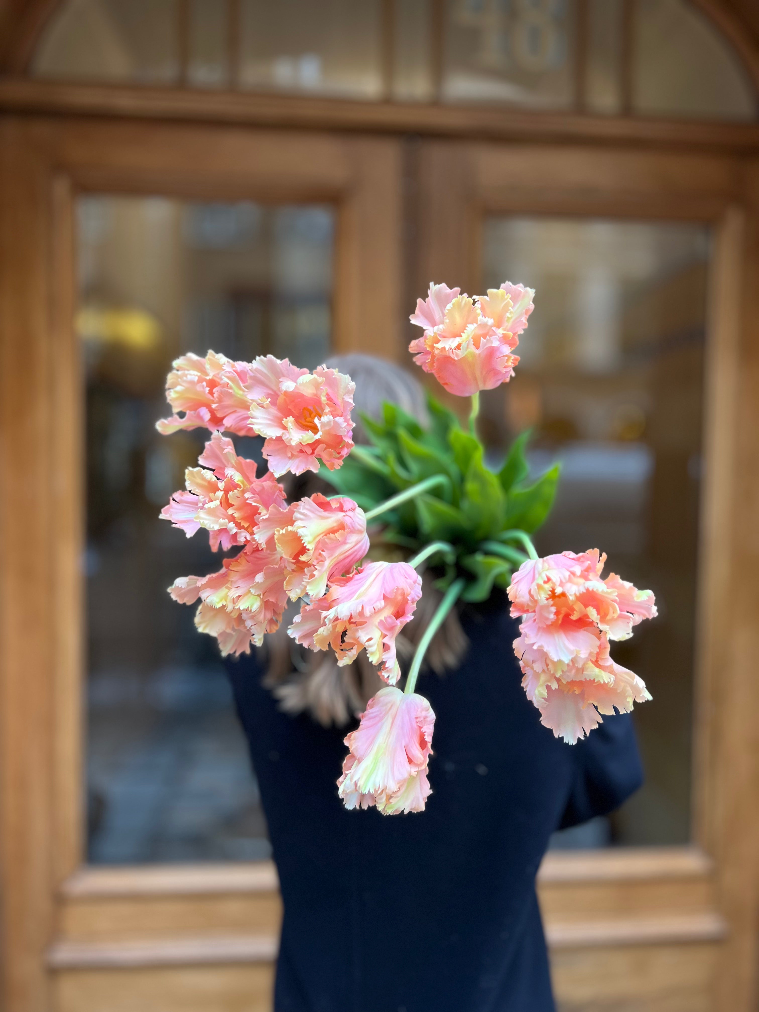 Papegojtulpan 80 cm, peach