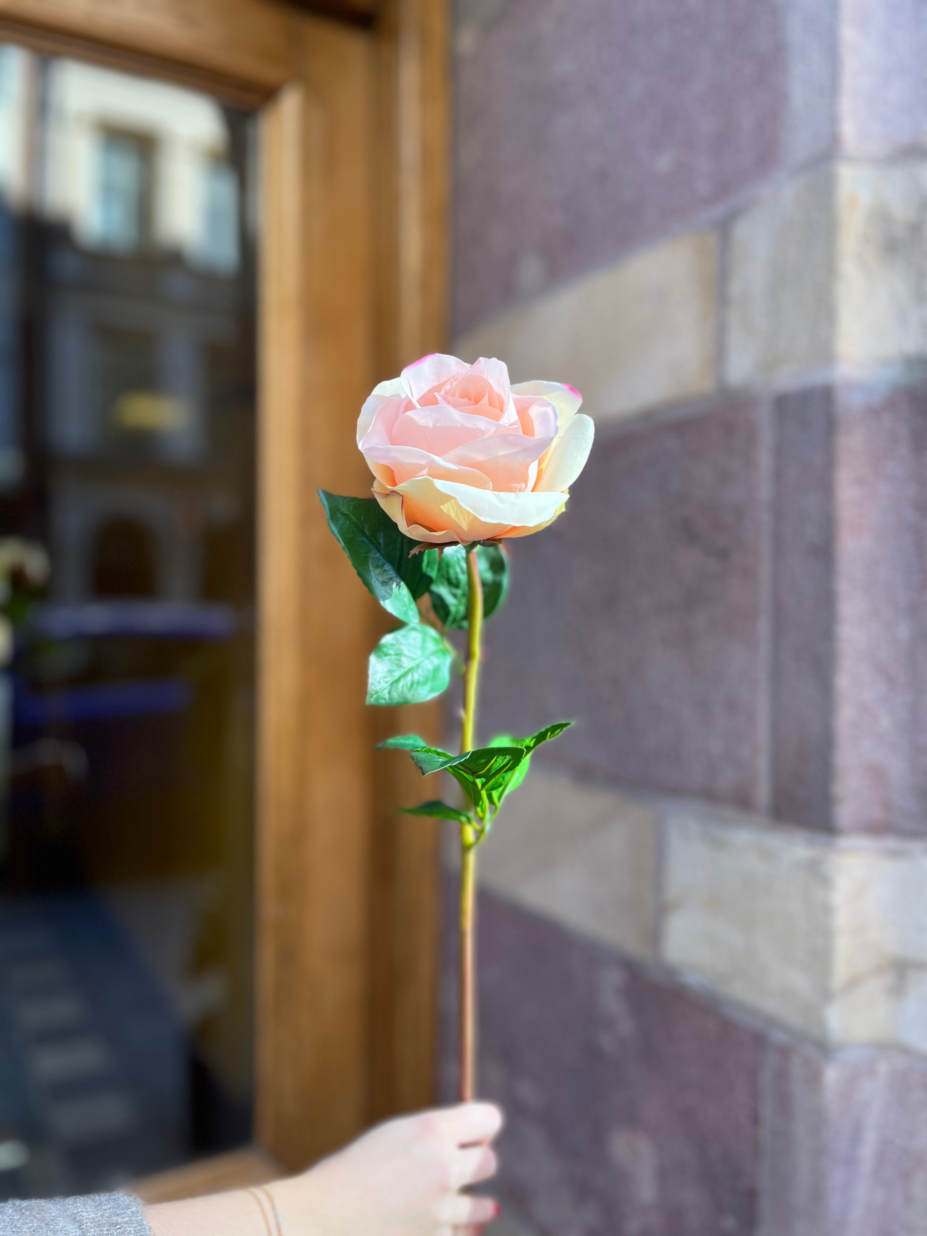 Ros peach real touch, 60 cm