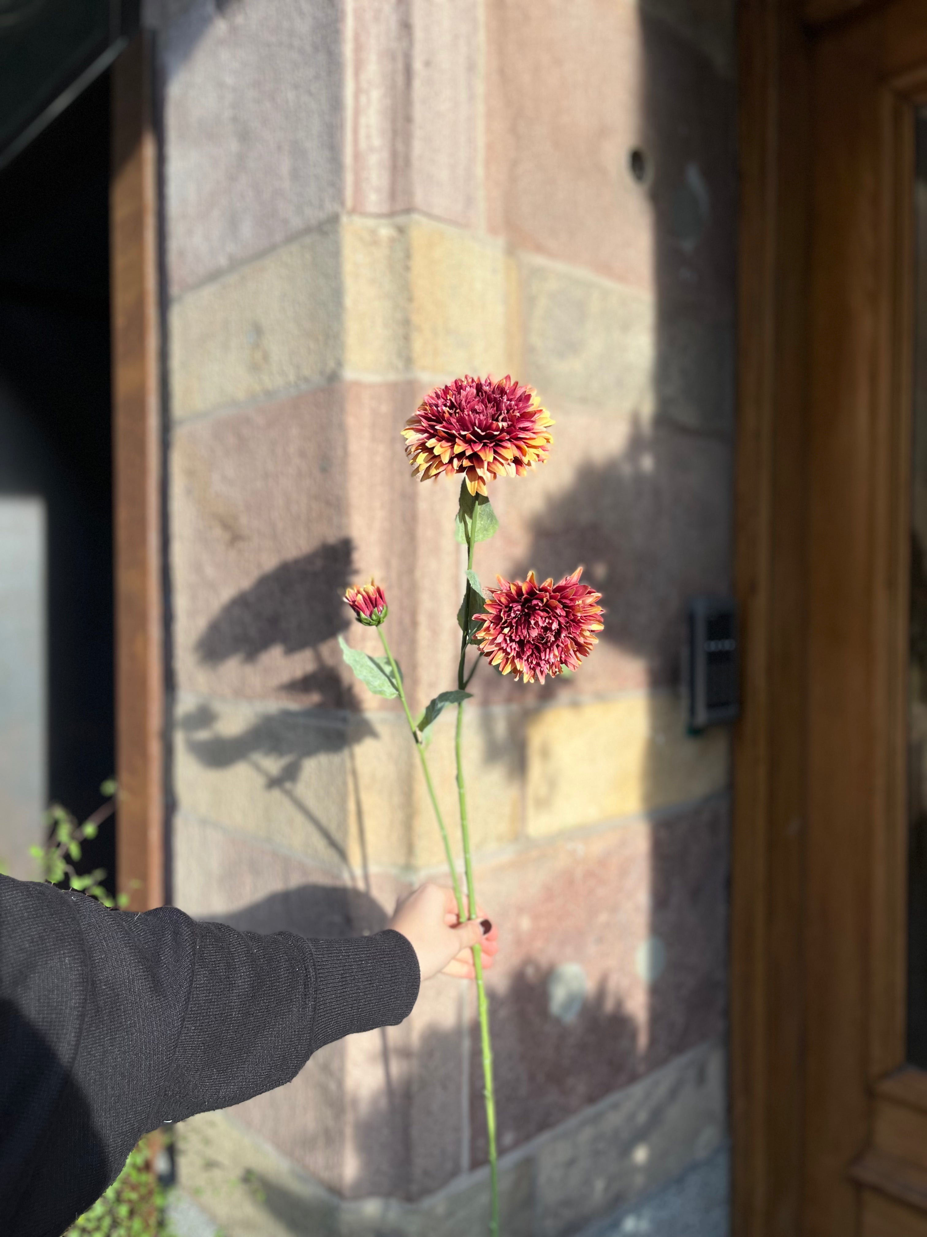 Solros 110 cm, röd / gul