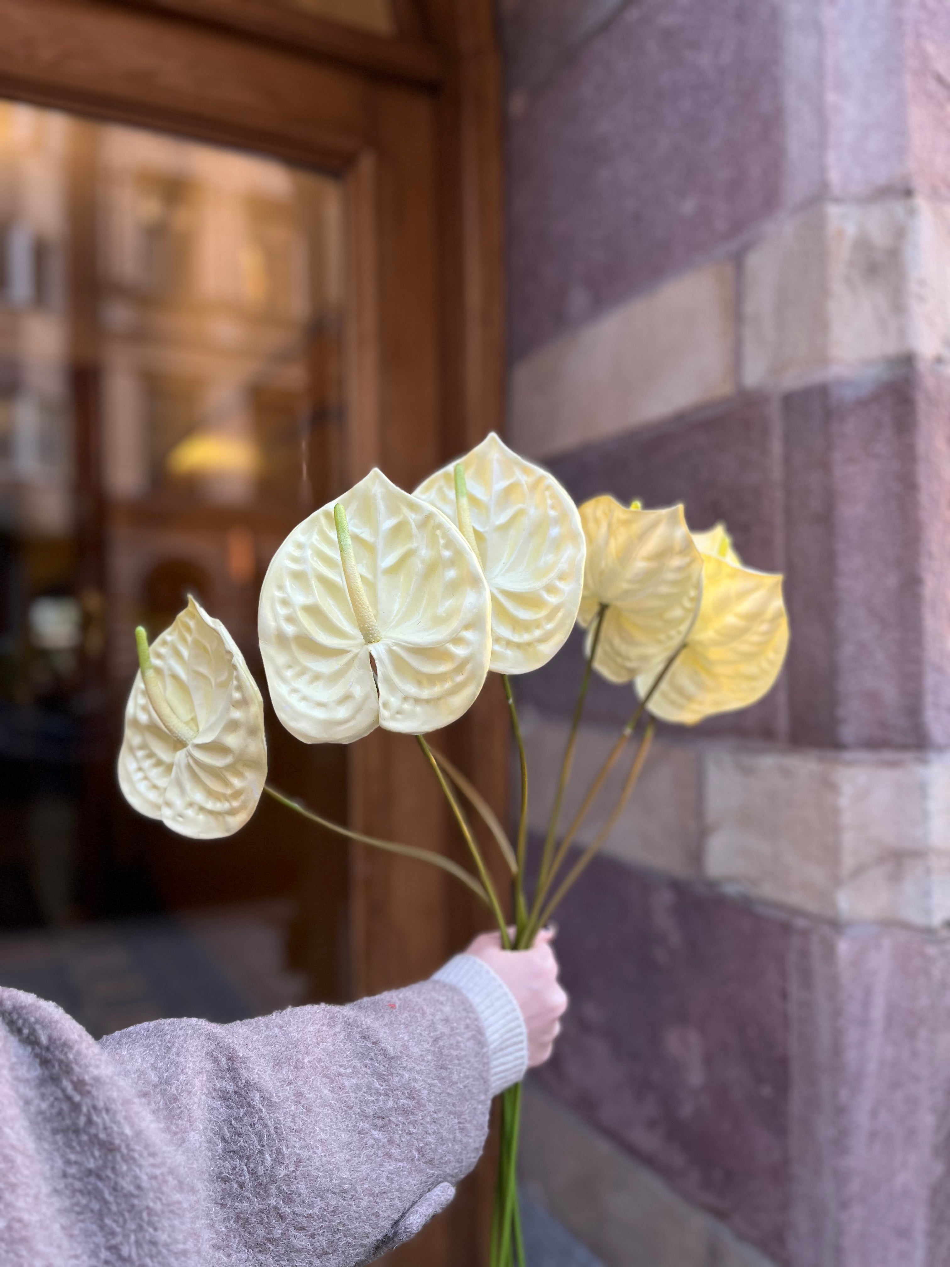 Hjärtlöv 60 cm, Vanilj