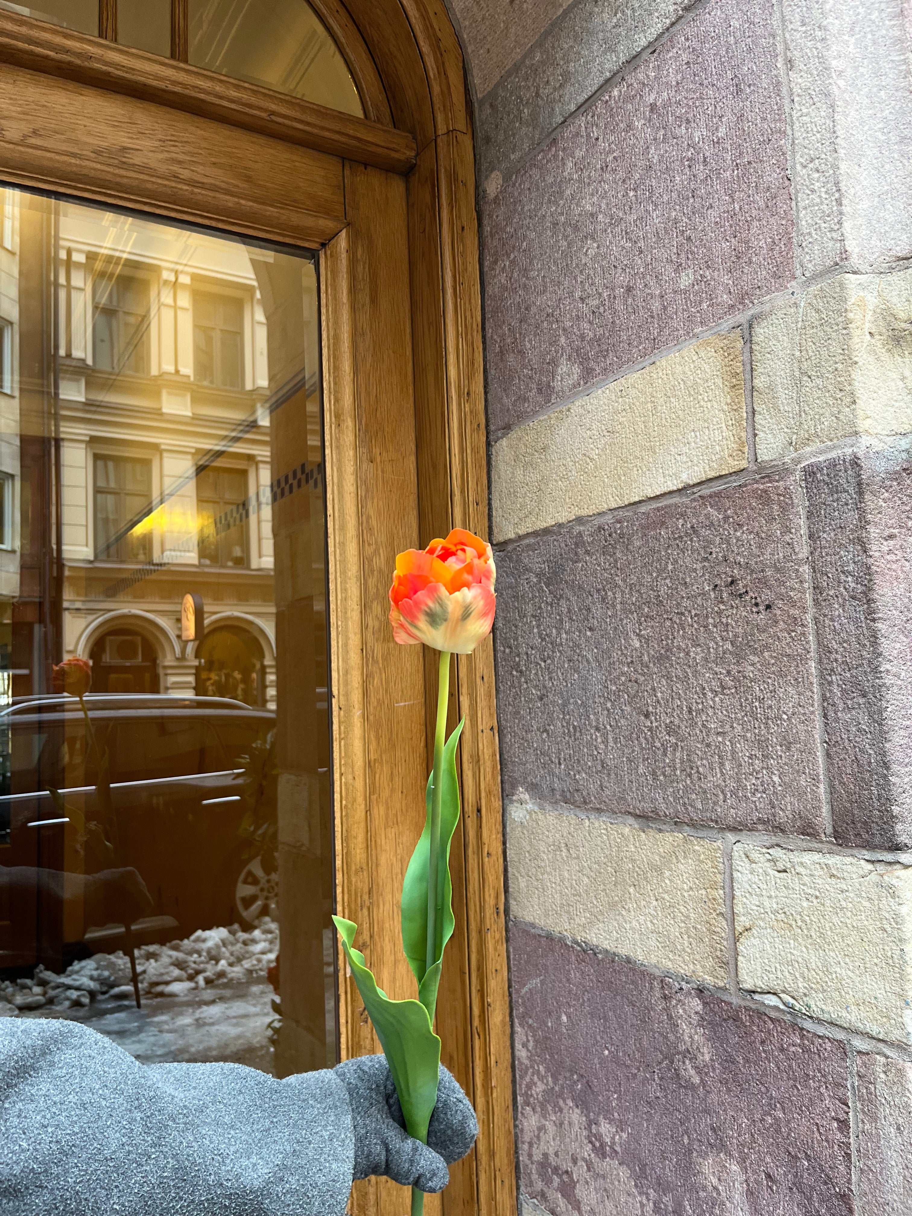 Piontulpan 65 cm, Orange
