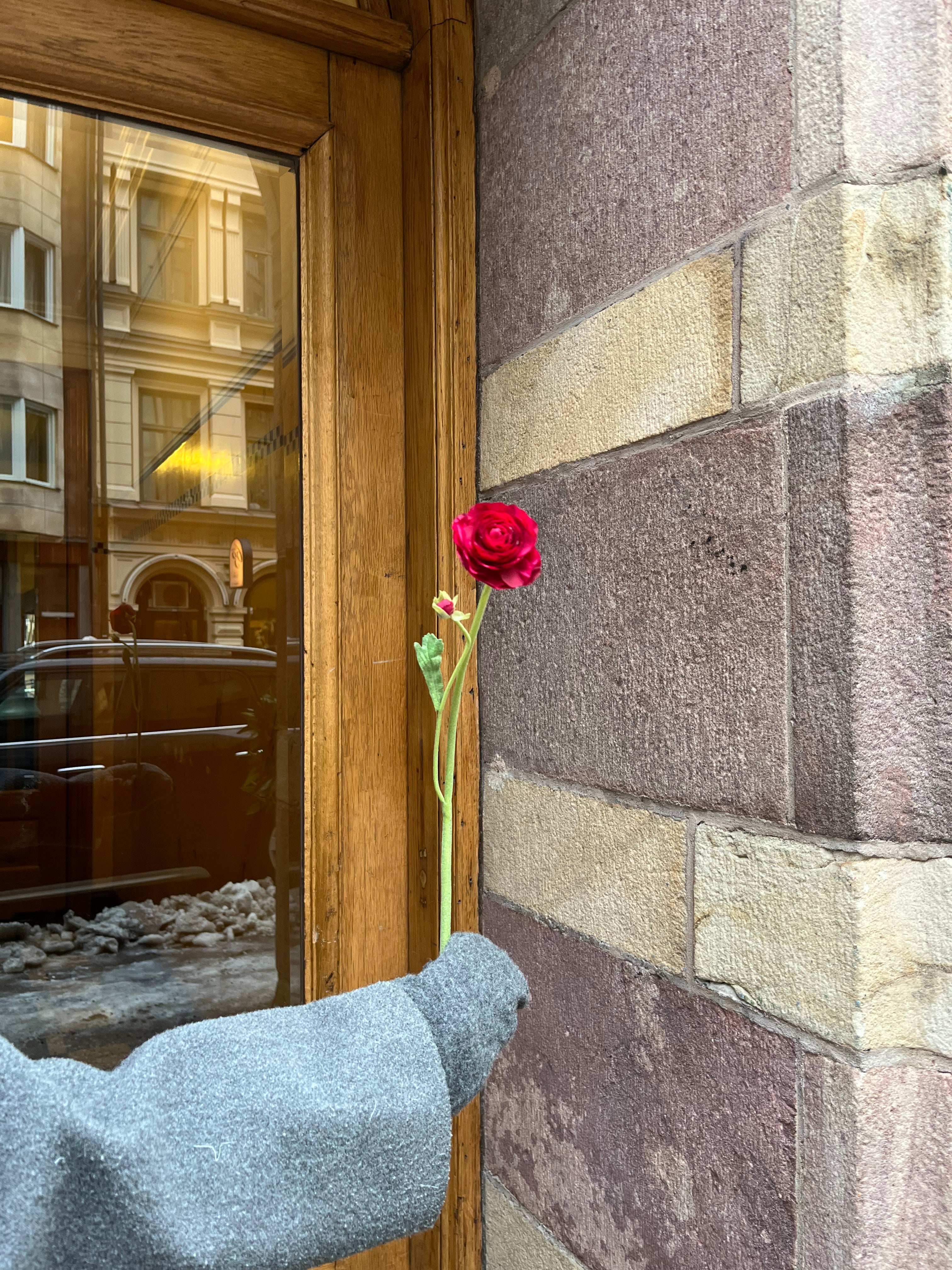 Ranunkel 40 cm, Cerise