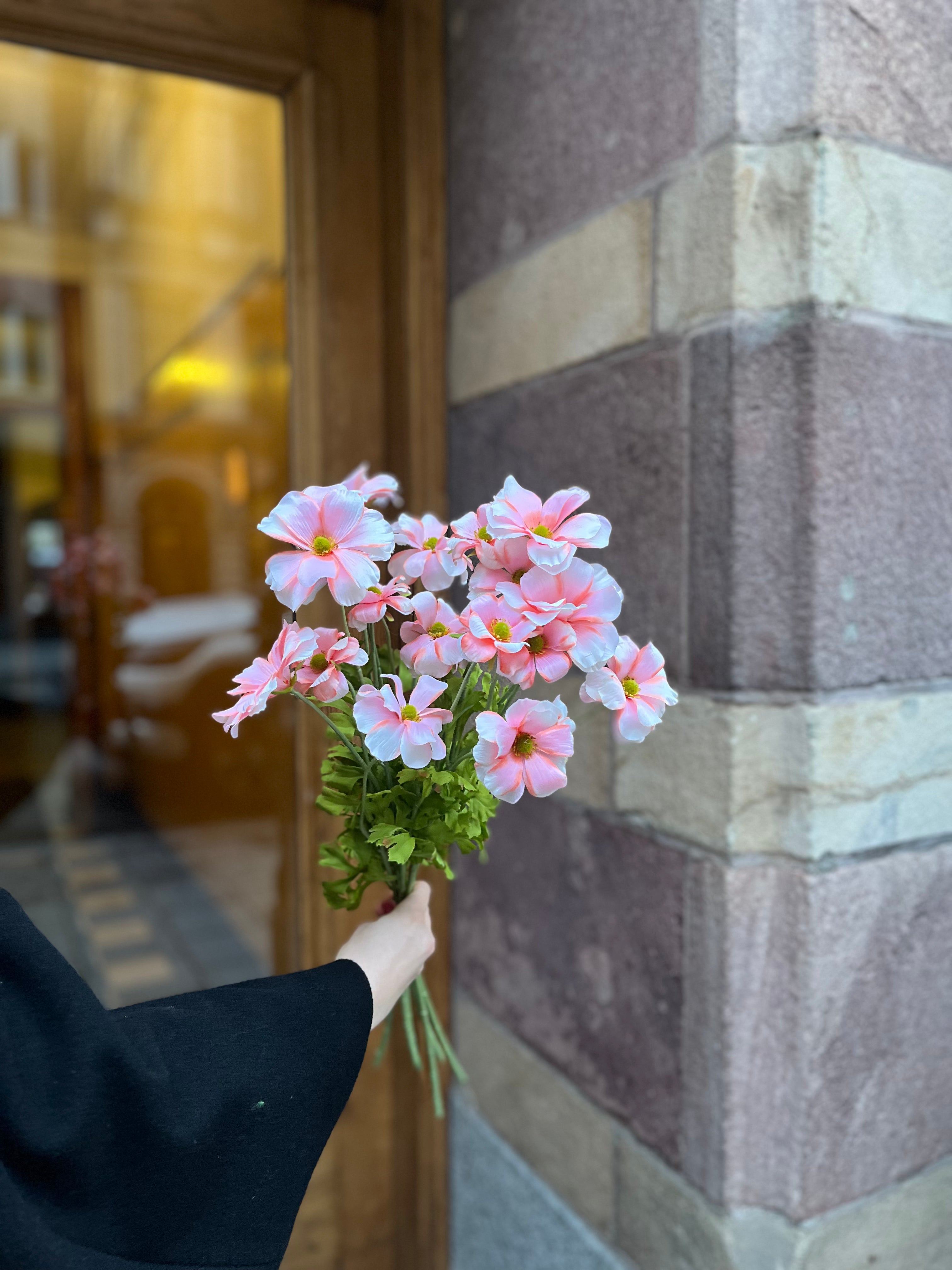 Fjärils-ranunkel 50 cm, Rosa