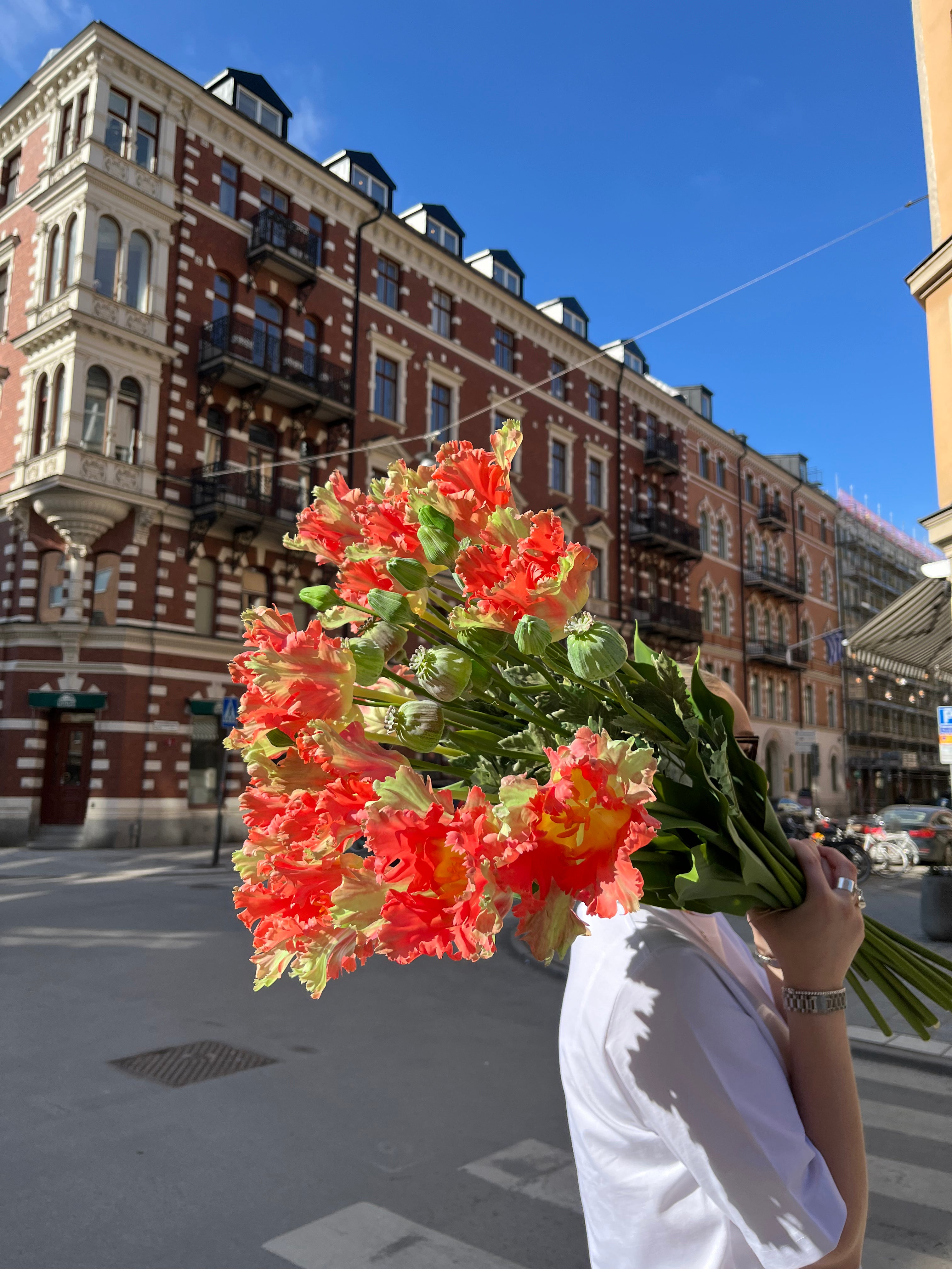 Papegojtulpan 80 cm, orange