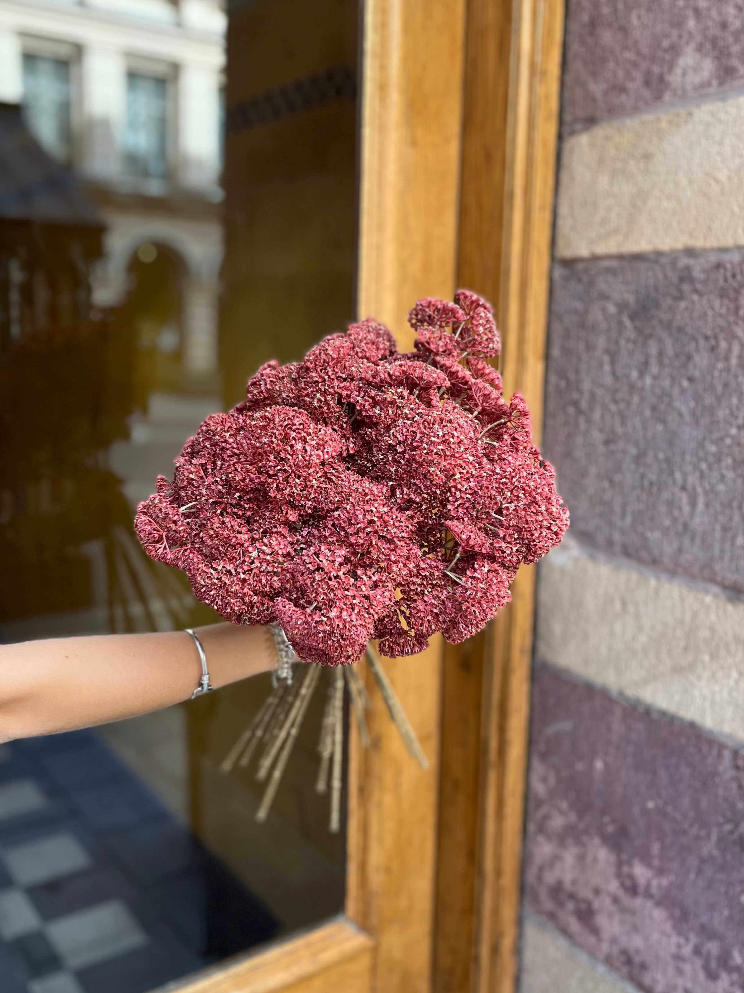 Röllika 50 cm, Röd / Rosa