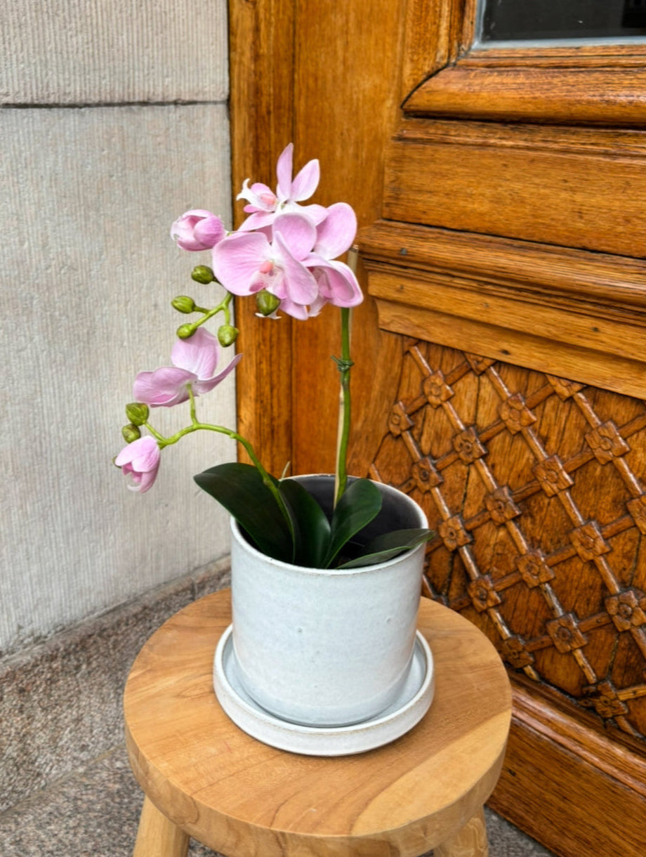 Orkidé i kruka 45 cm, ljusrosa
