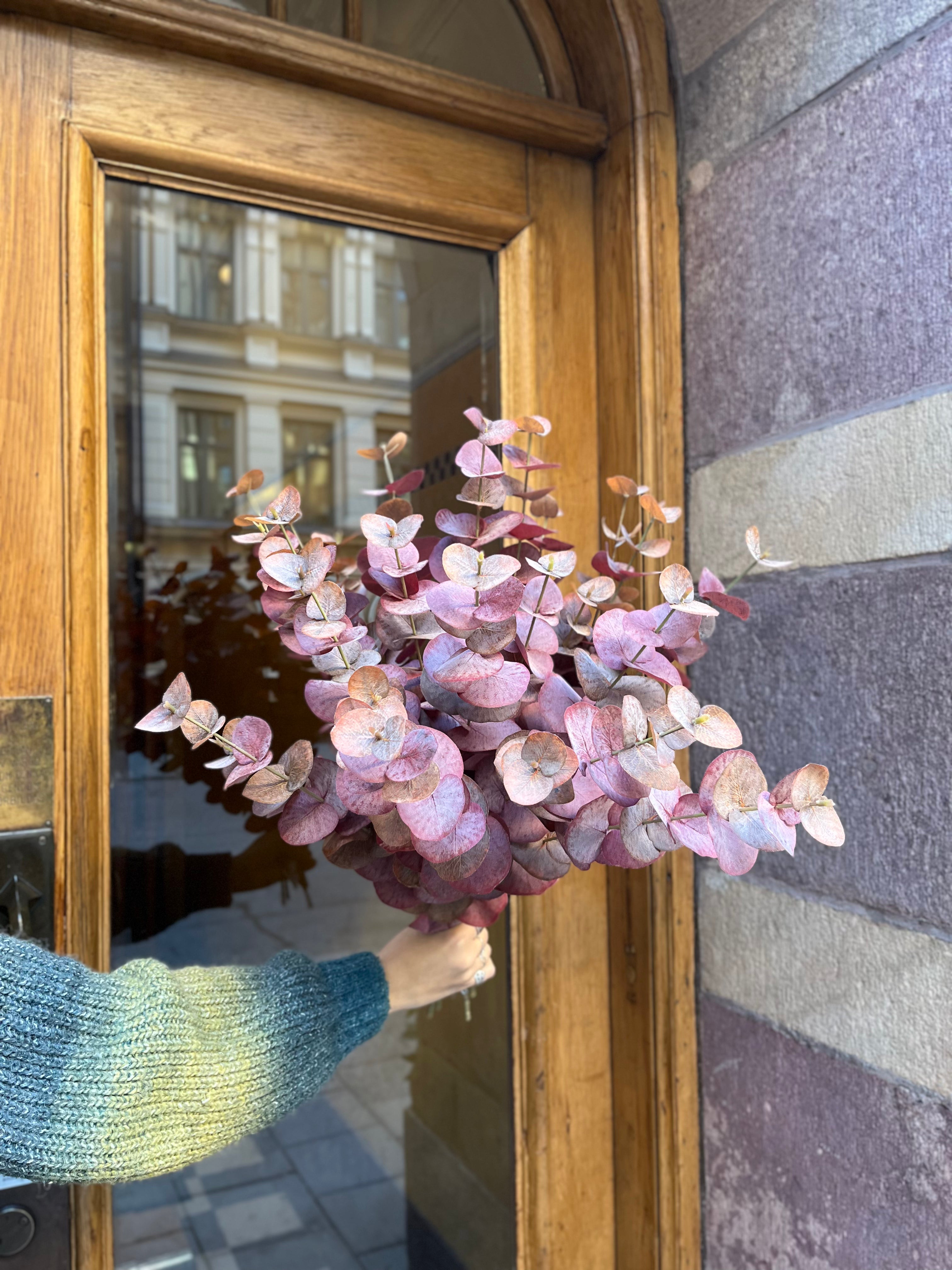 Eucalyptus röd 60 cm