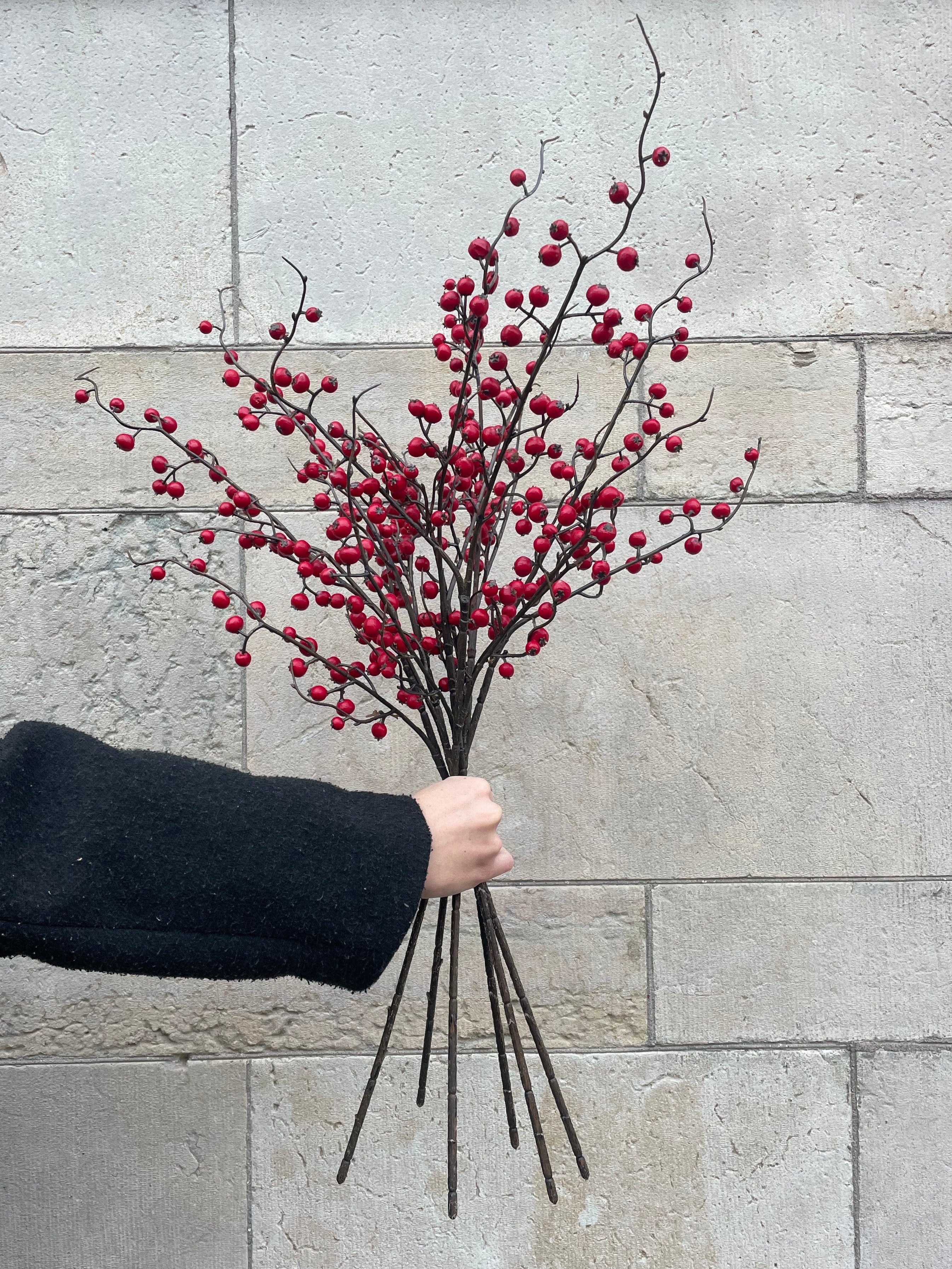 Bärkvist Röd/Brun, 75 cm