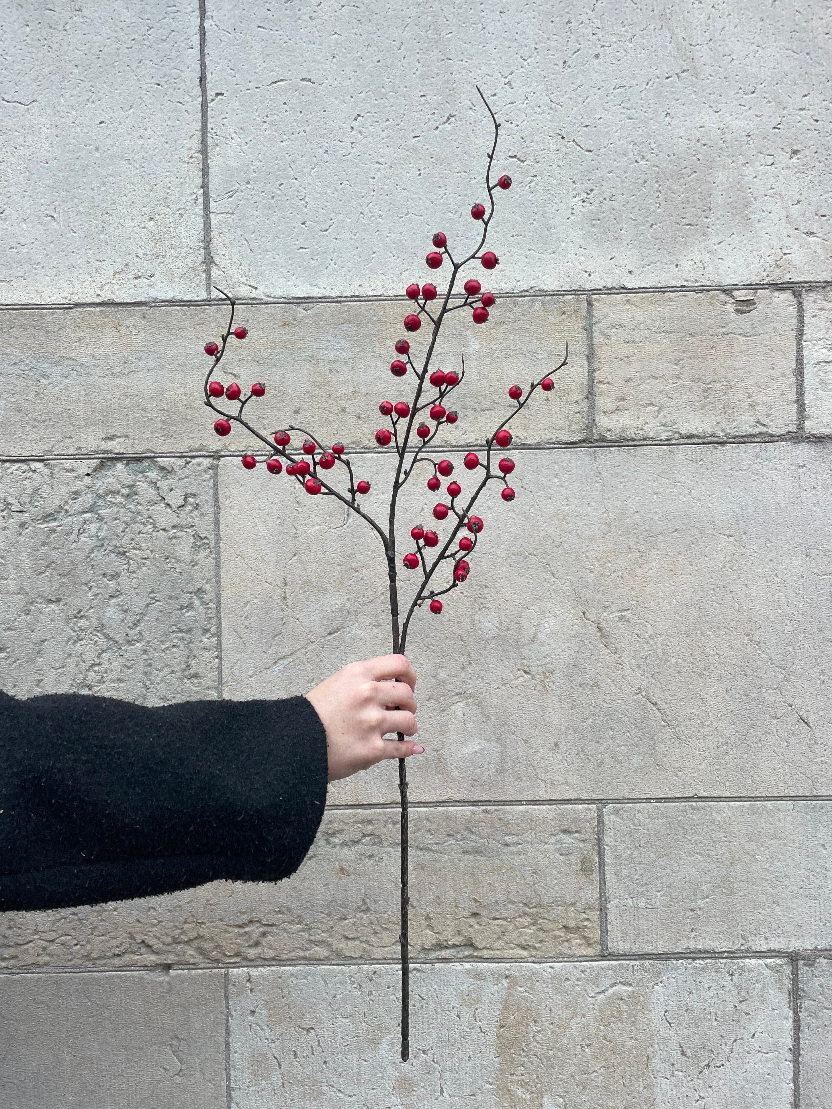 Bärkvist Röd/Brun, 75 cm