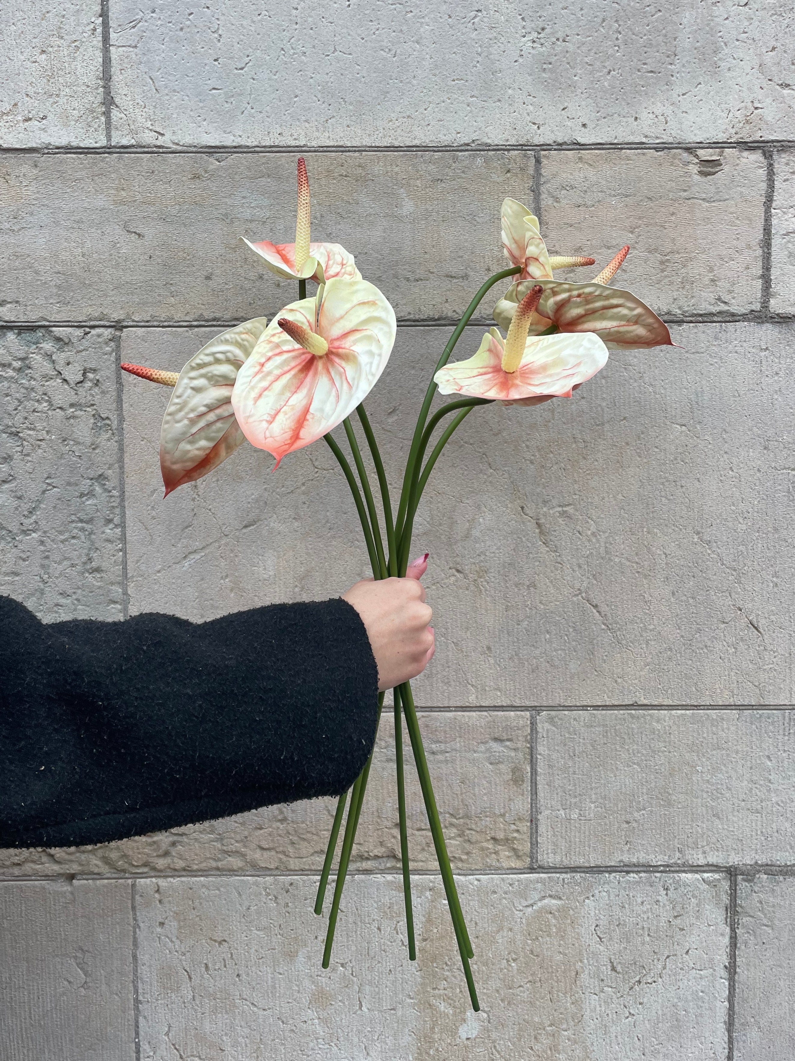 Anthurium 60 cm, Orange/Vit