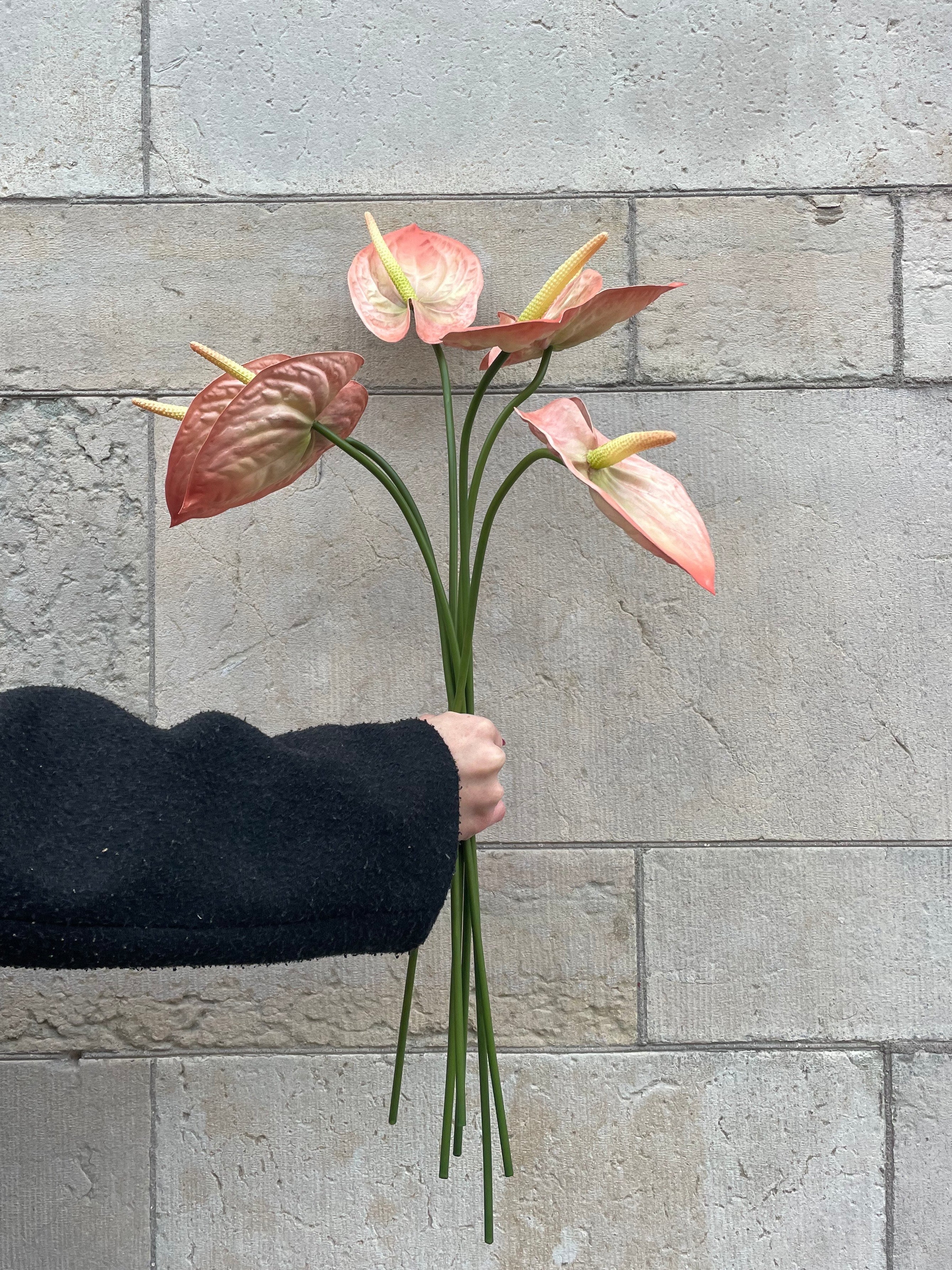 Anthurium 60 cm, Rosa