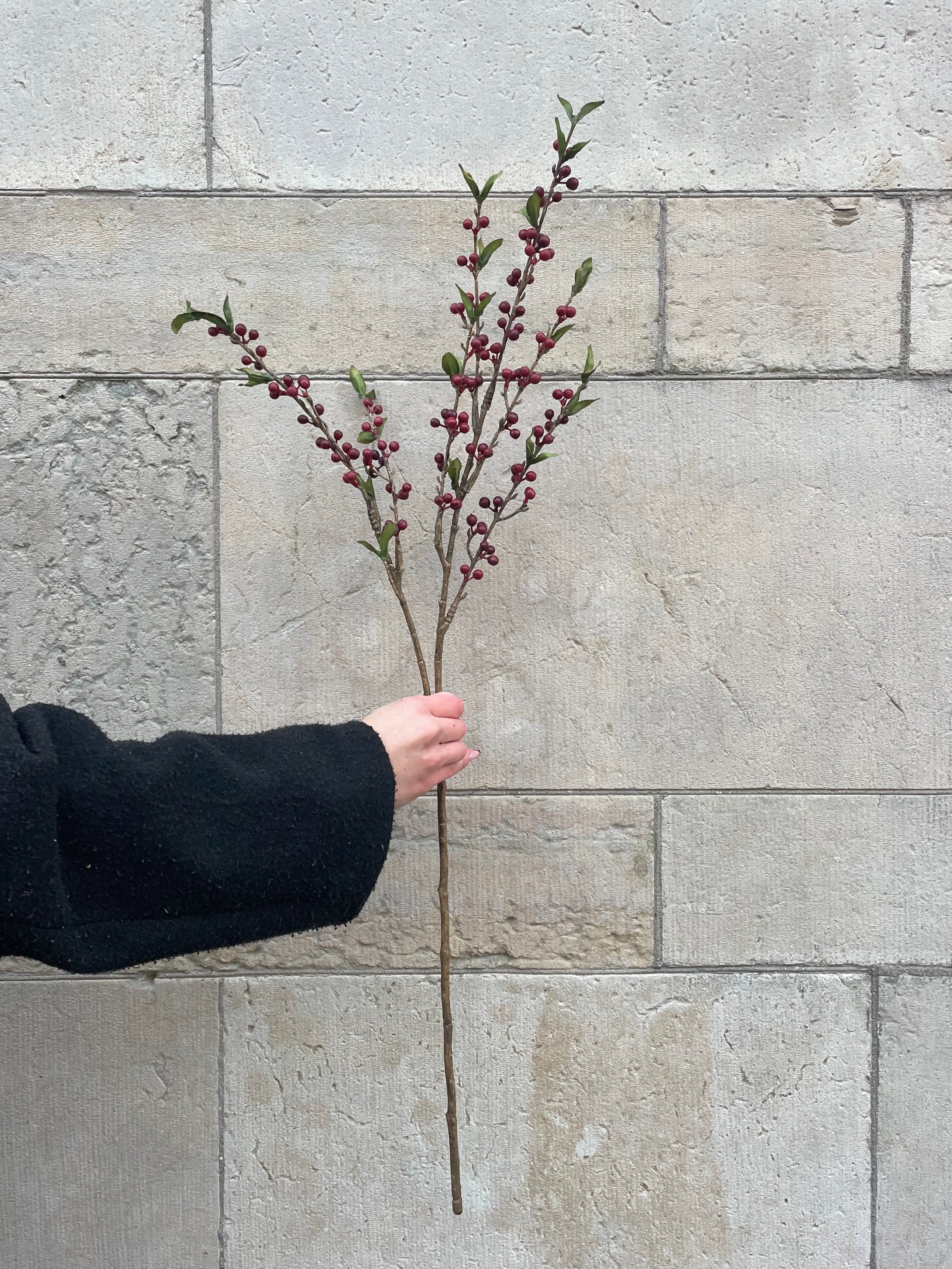 Bärkvist Röd, 85 cm