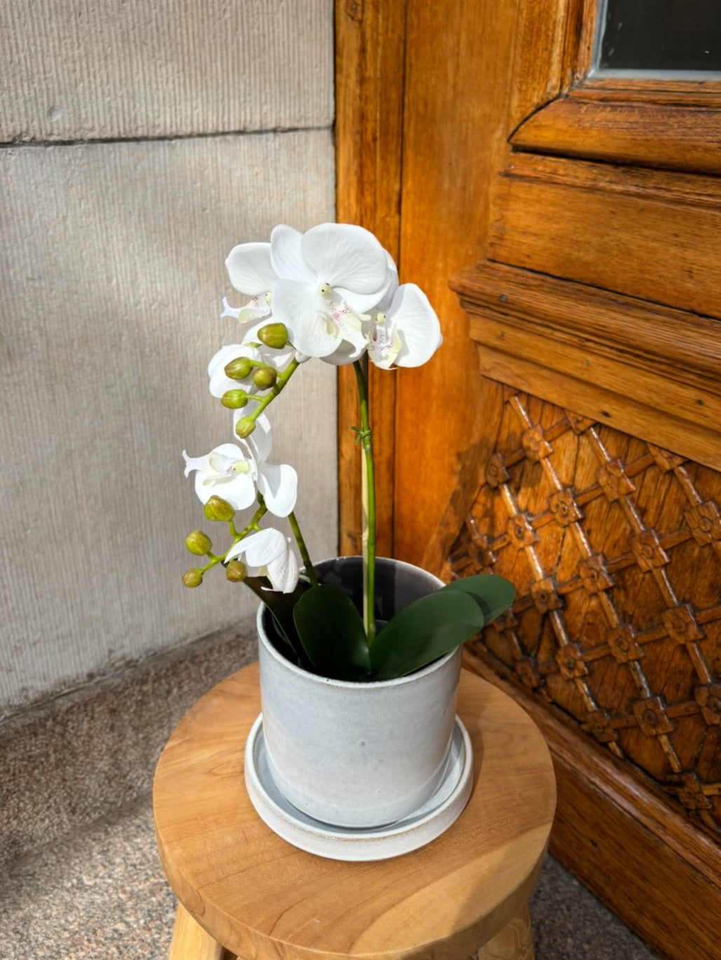 Orkidé i kruka 45 cm, vit