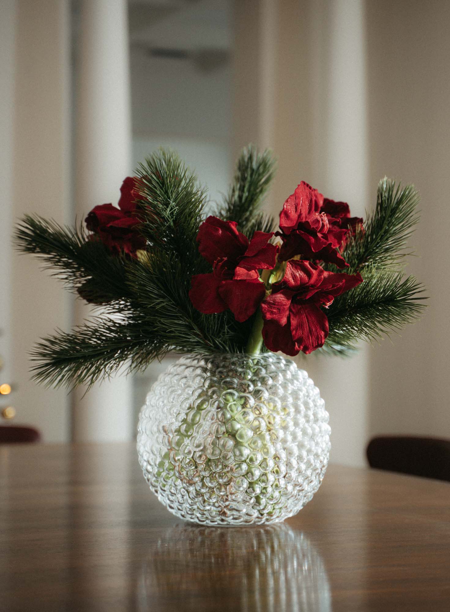 Amaryllis 75 cm, burgundy