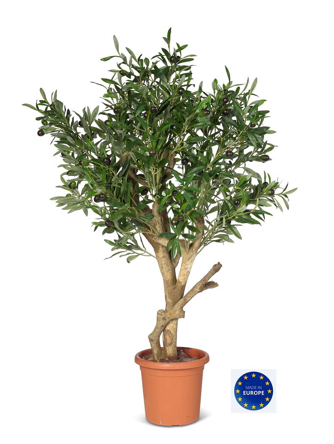 Exklusivt olivträd 90 cm
