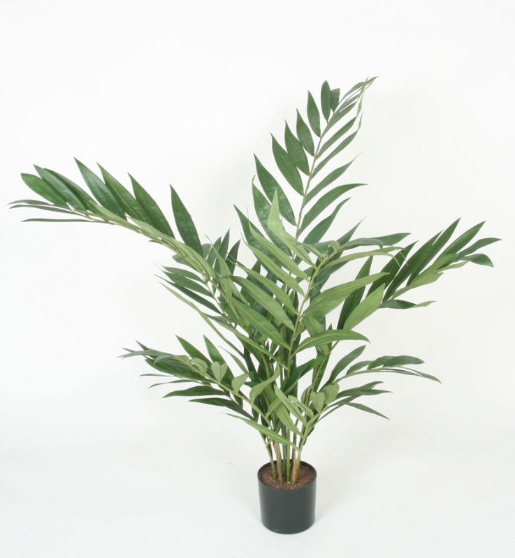 Parlour palm UV 90 cm