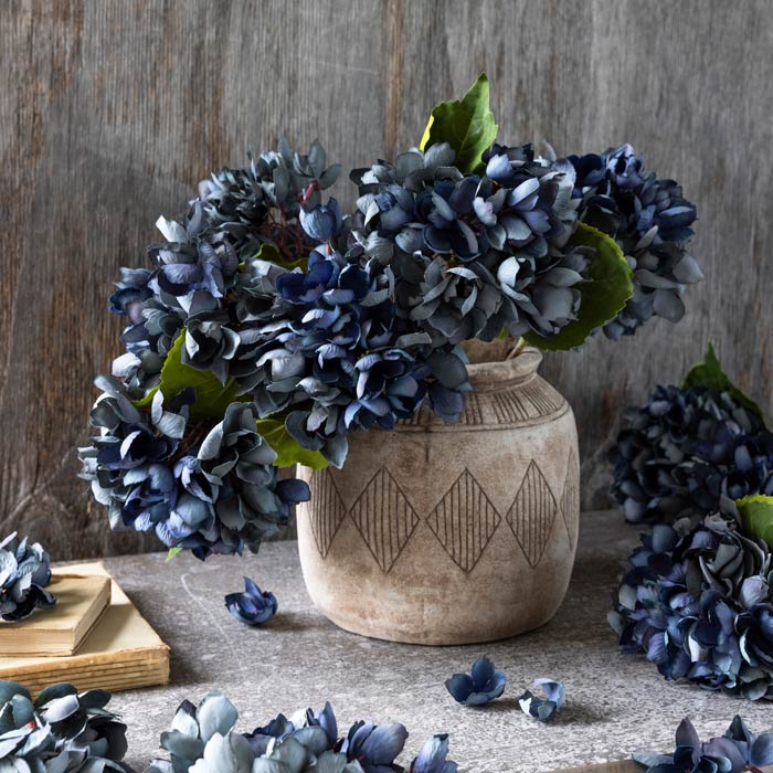 Hortensia 35 cm, Mörkblå