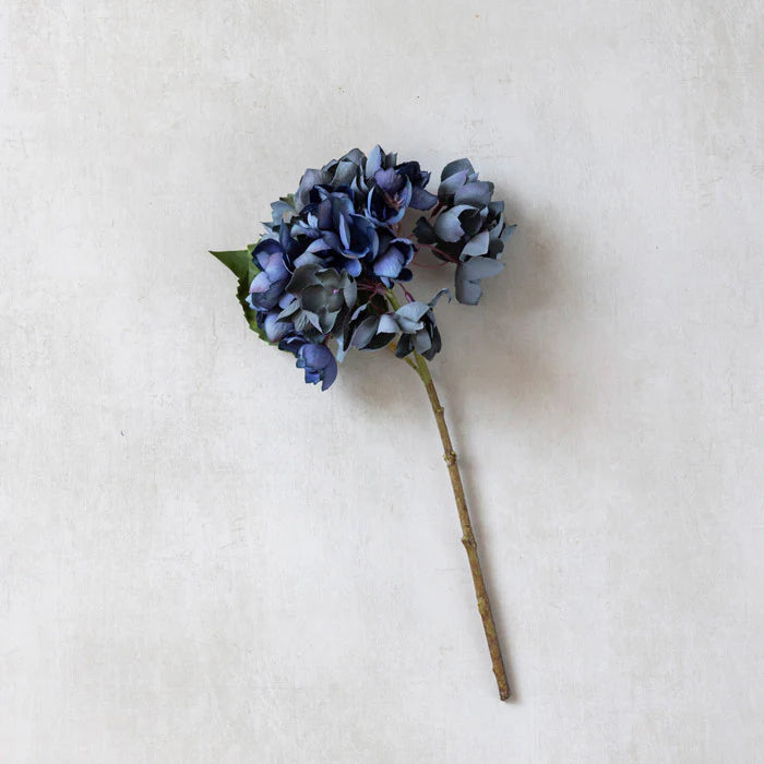 Hortensia 35 cm, Mörkblå