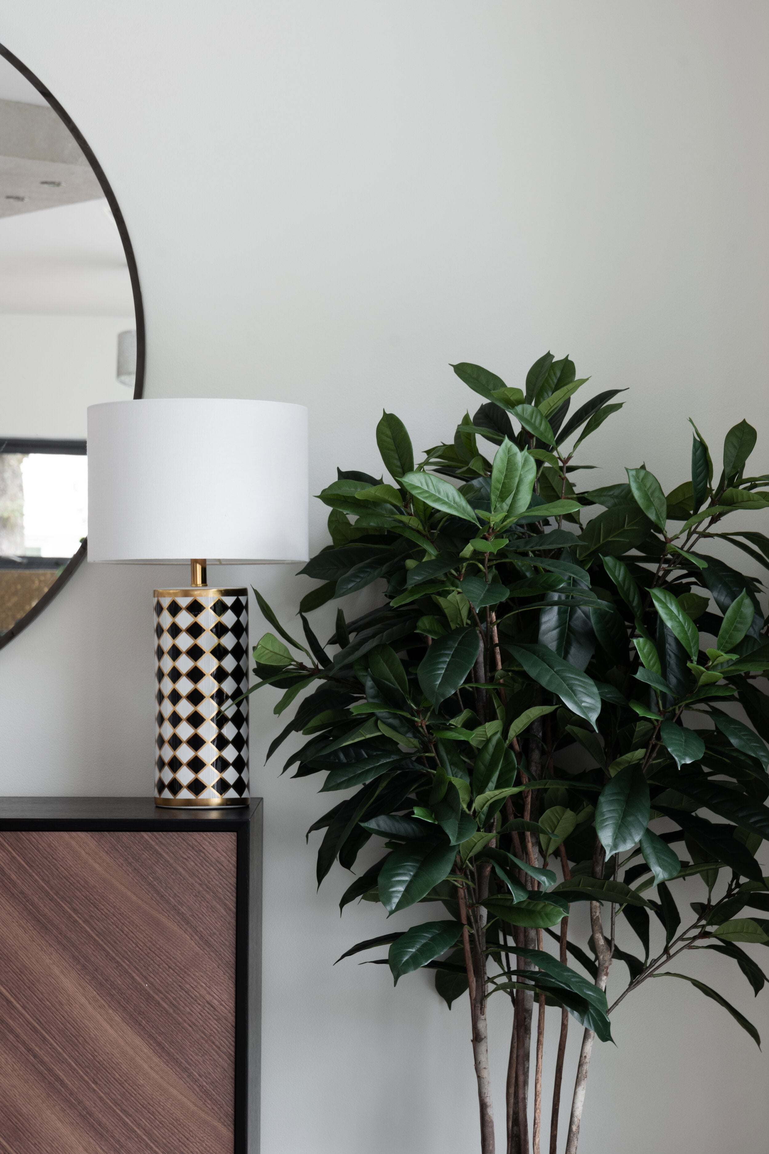 Cyathistipula-träd UV 150 cm