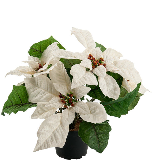 Julstjärna 23 cm, vit