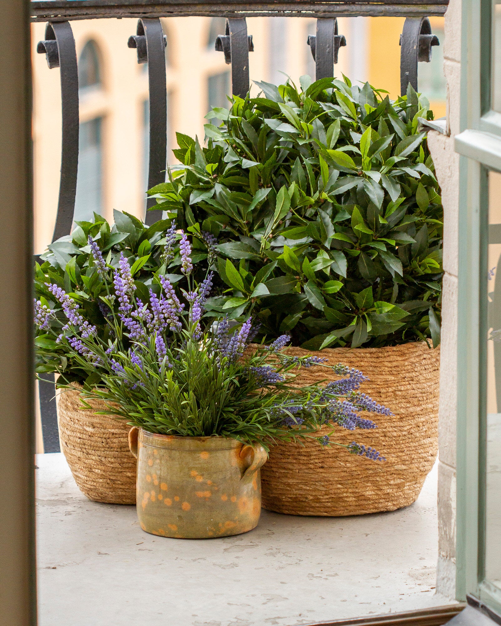 Lagerbladsboll UV, 25-50 cm