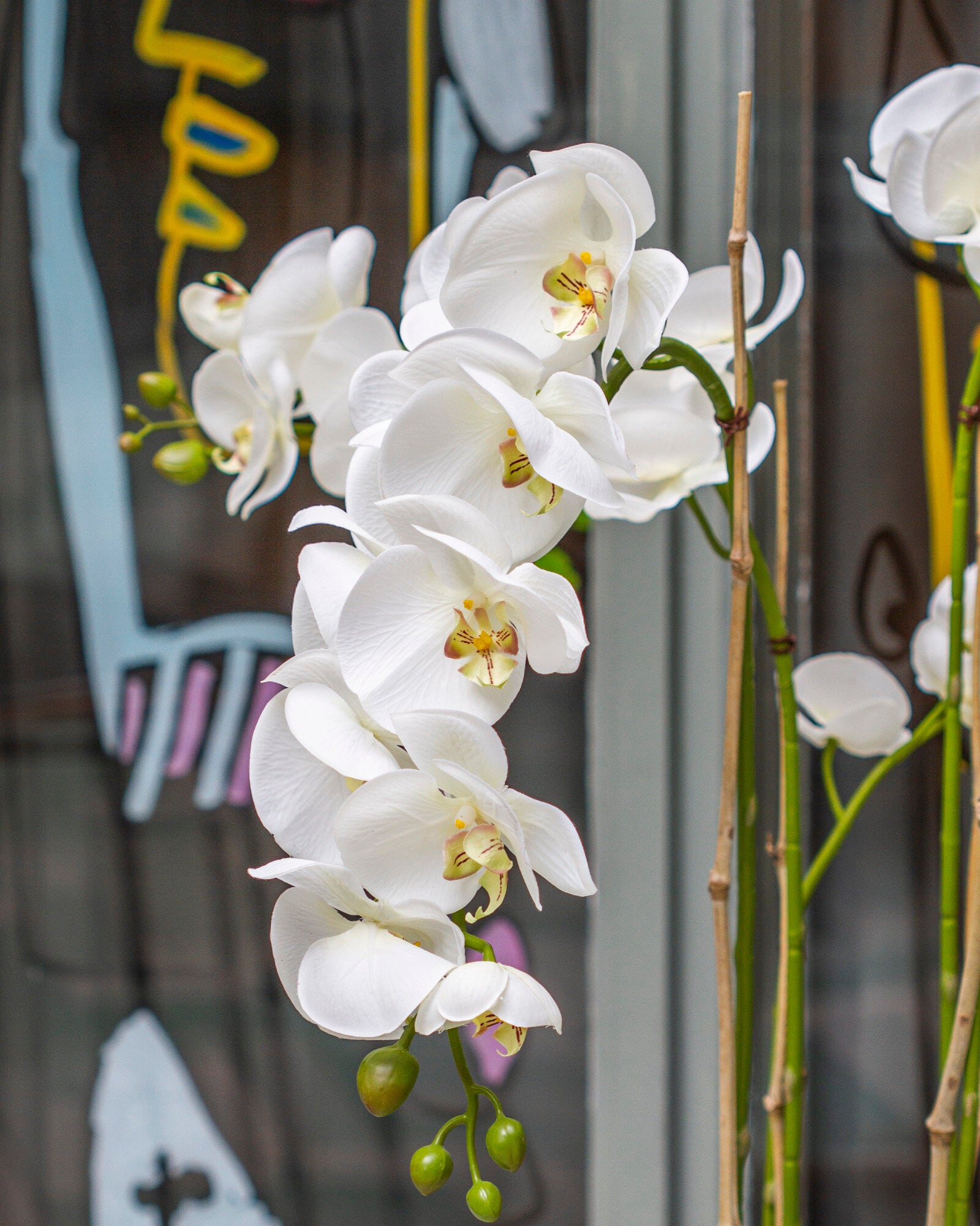 Orkidé 130 cm, vit