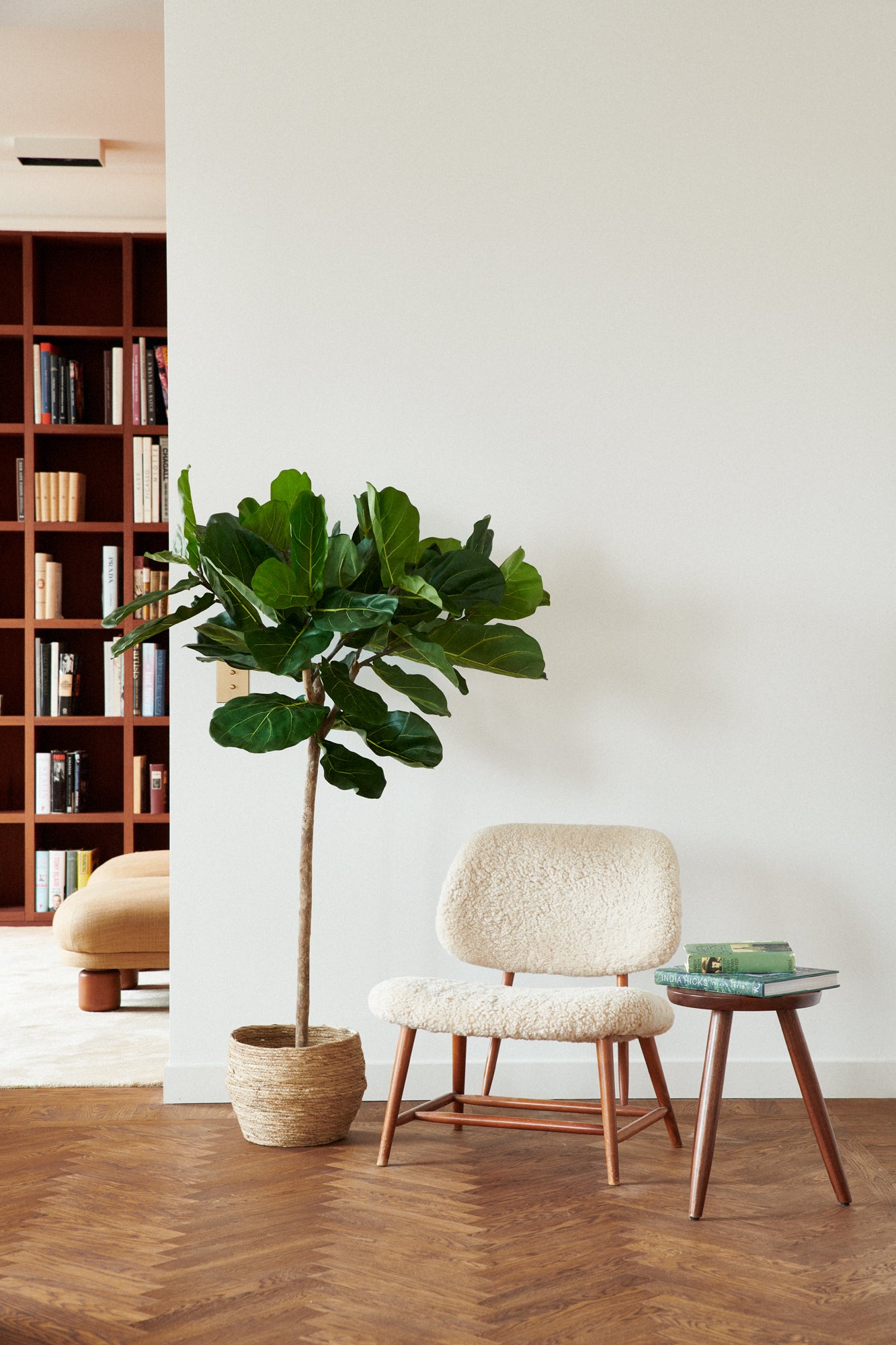 Fikus toppboll-träd UV 140 cm