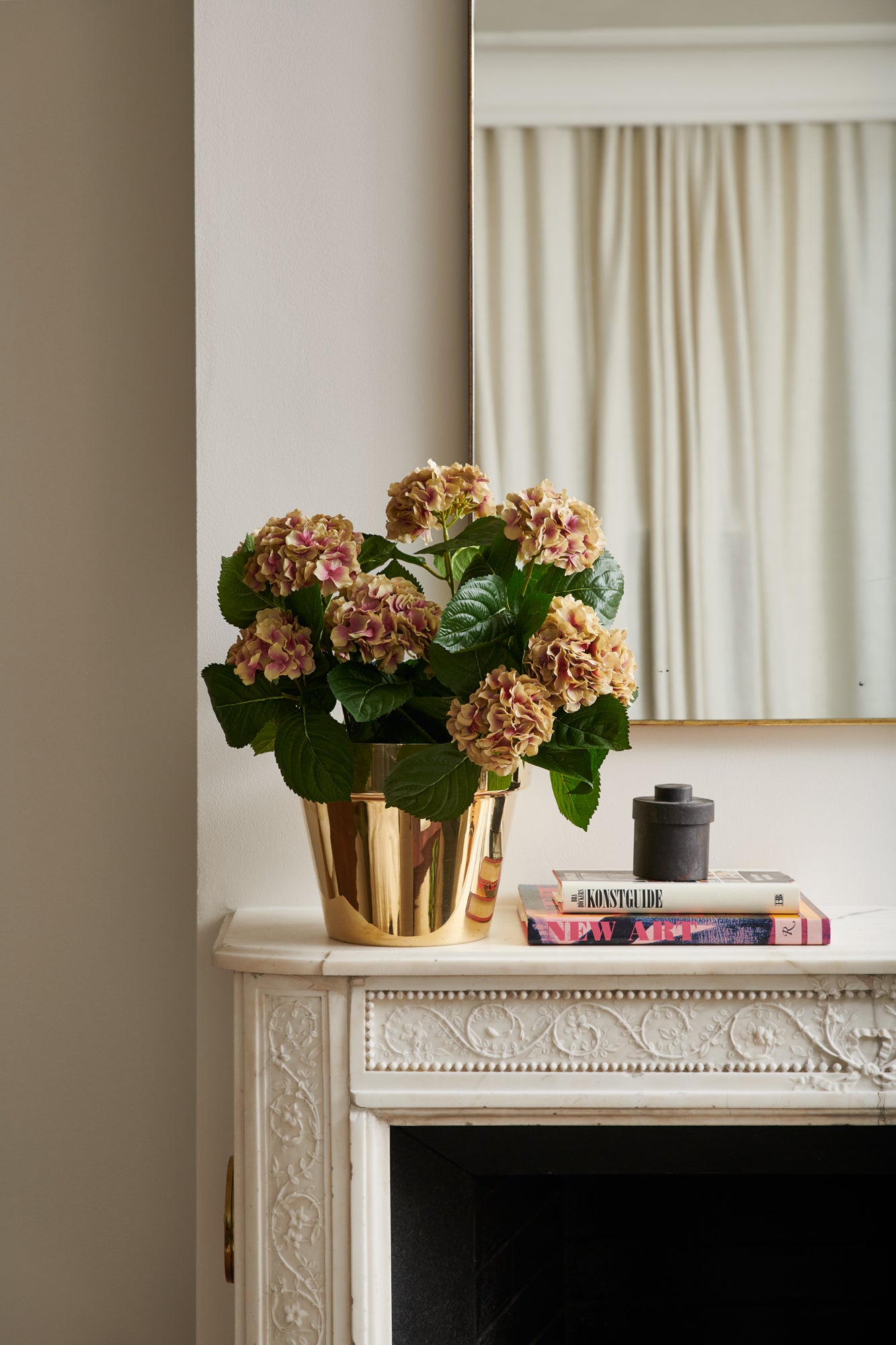 Hortensia i kruka 40 cm, beige/rosa