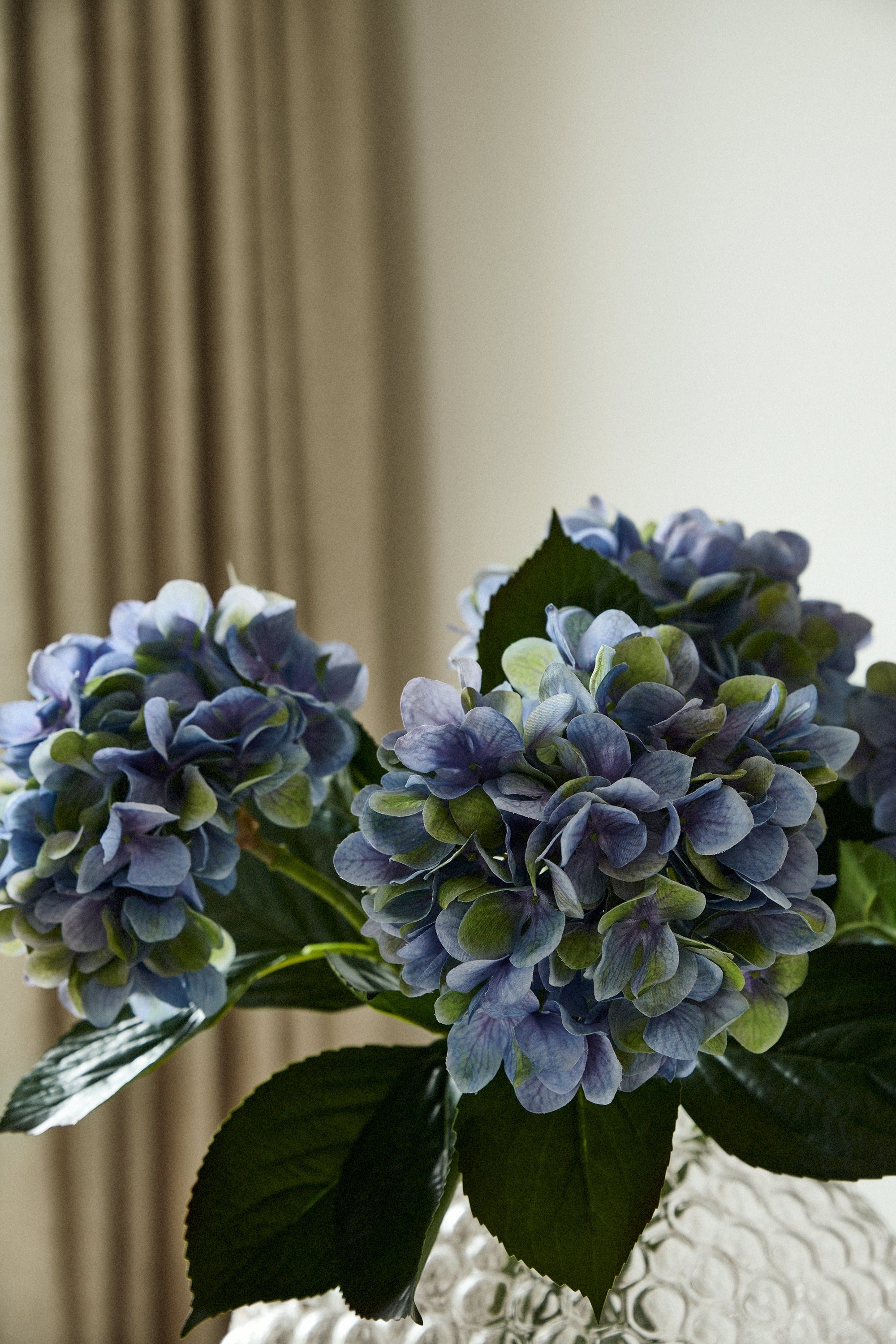 Hortensia 65 cm, Blå