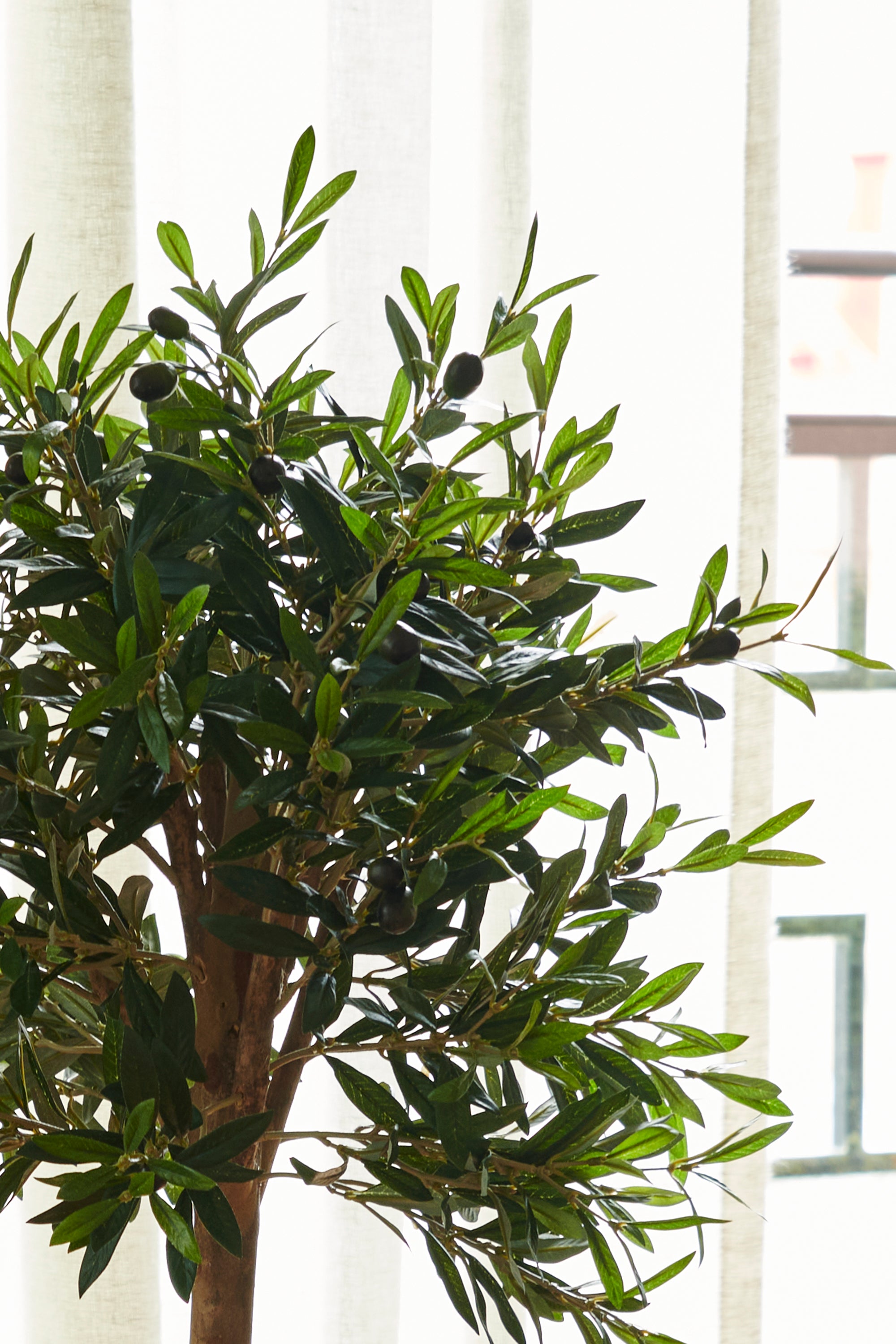 Olivträd toppboll UV 80-140 cm