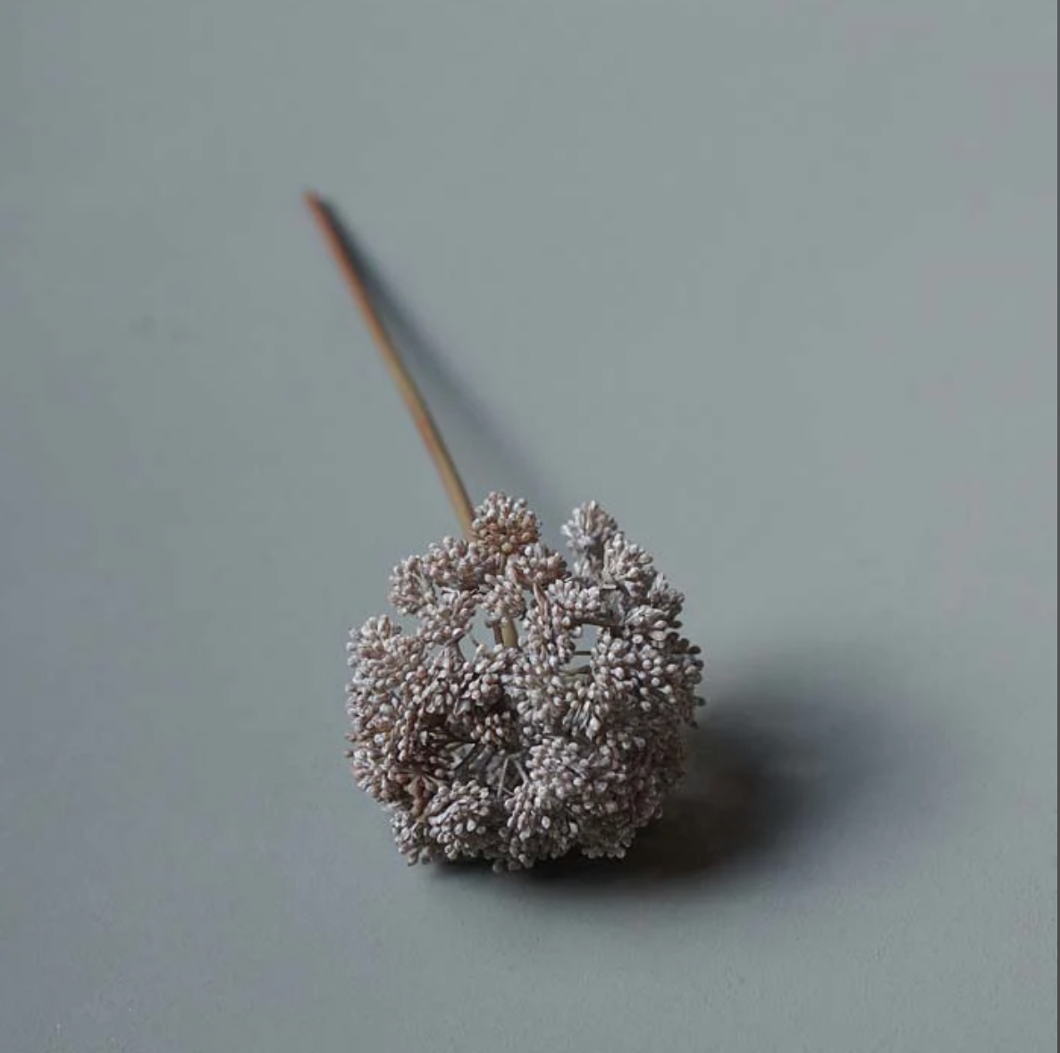 Sedum kvist 34 cm, grå / beige