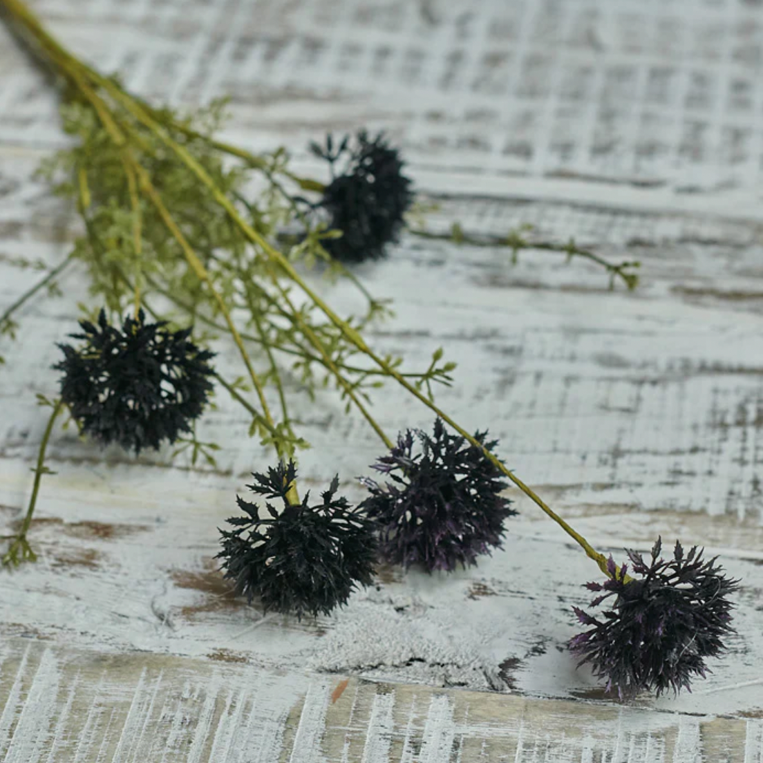 Melaleuca 52 cm, svart