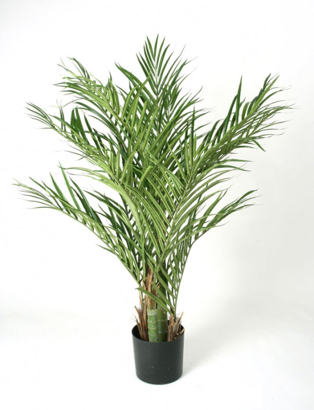 Areca palm UV 120-170 cm