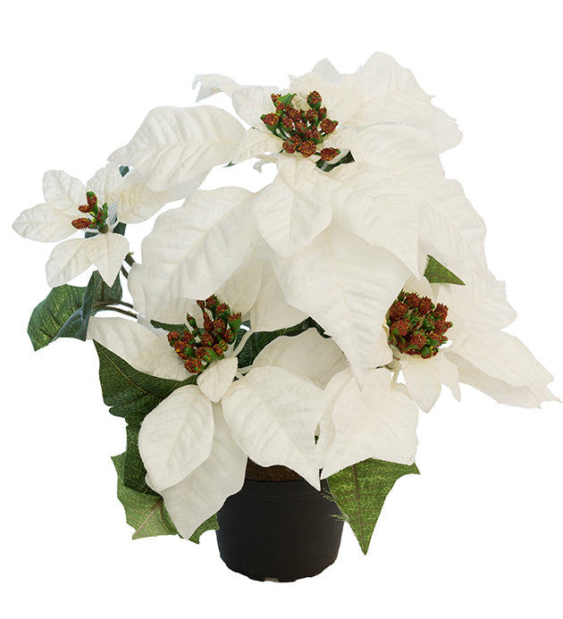 Julstjärna 35 cm, vit