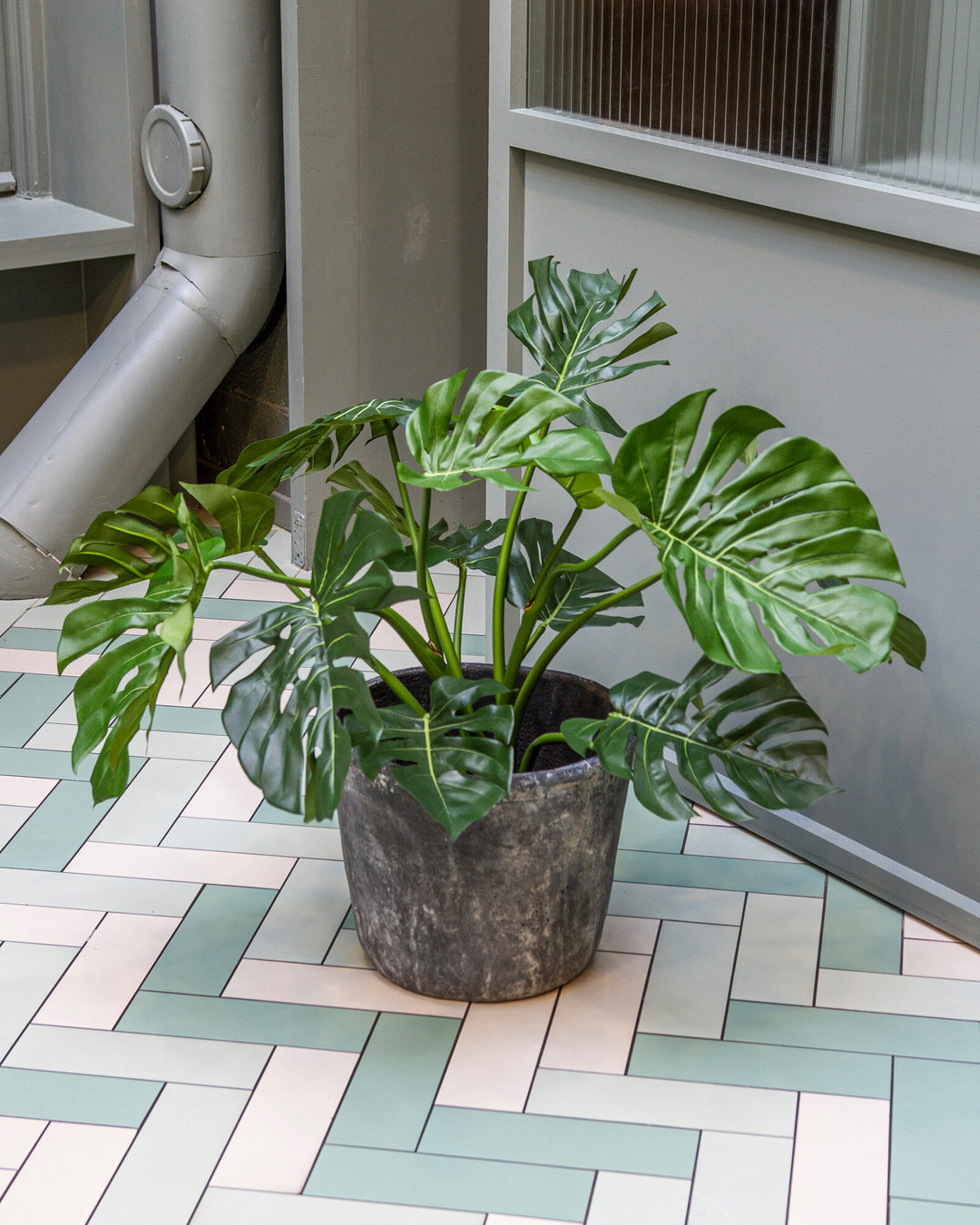 Monstera UV 63-80 cm